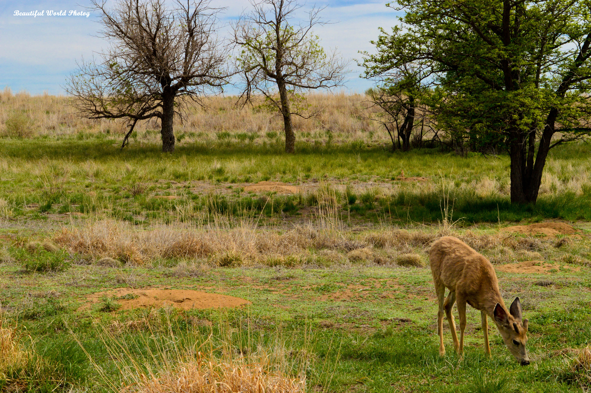 Nikon D3200 sample photo. Refuge () photography