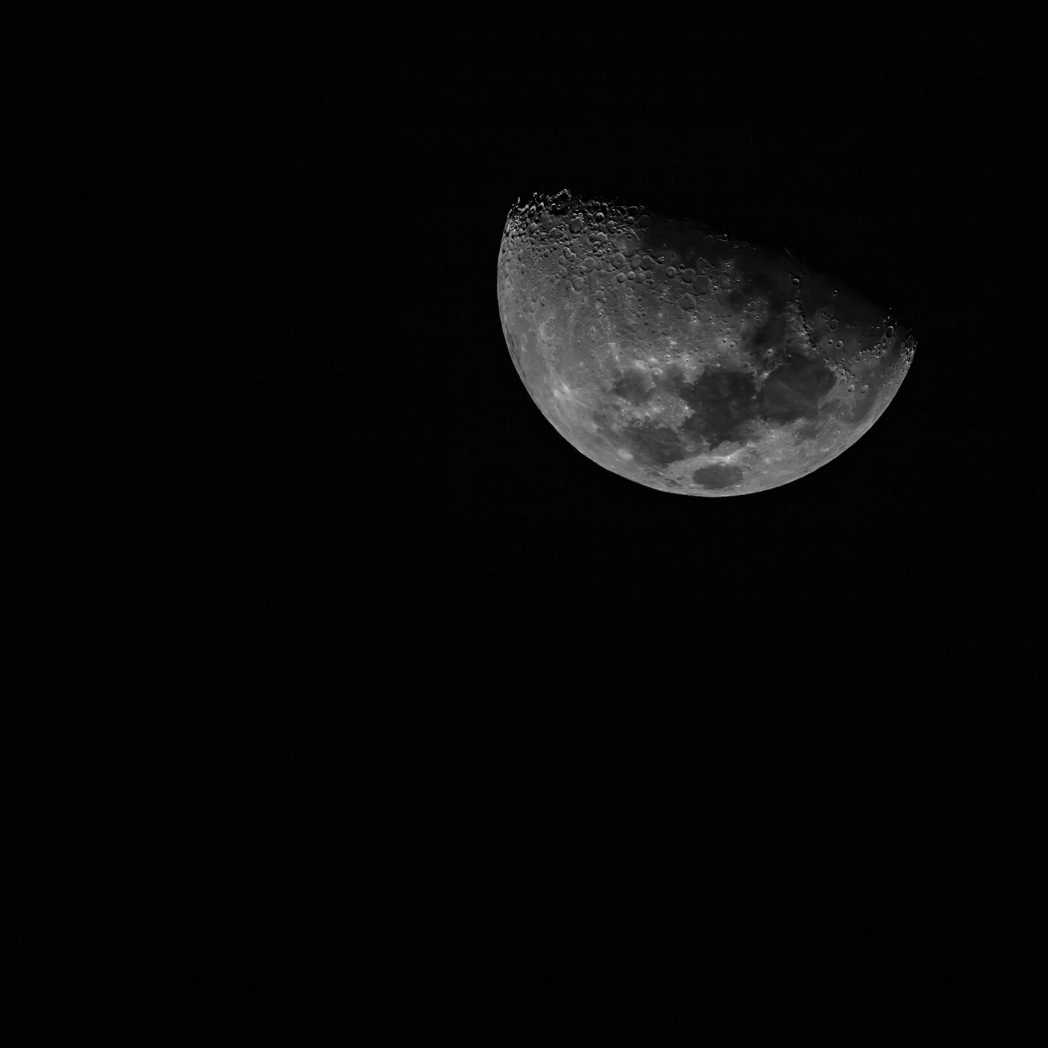 Tamron SP 150-600mm F5-6.3 Di VC USD sample photo