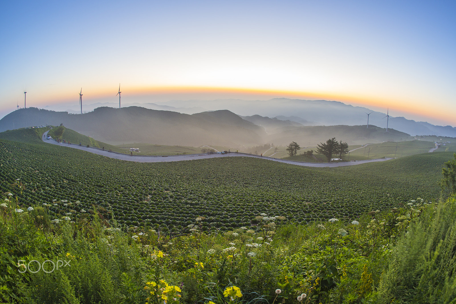 Canon EOS 6D + Canon EF 15mm F2.8 Fisheye sample photo. Dawn of maebongsan mountain highland photography