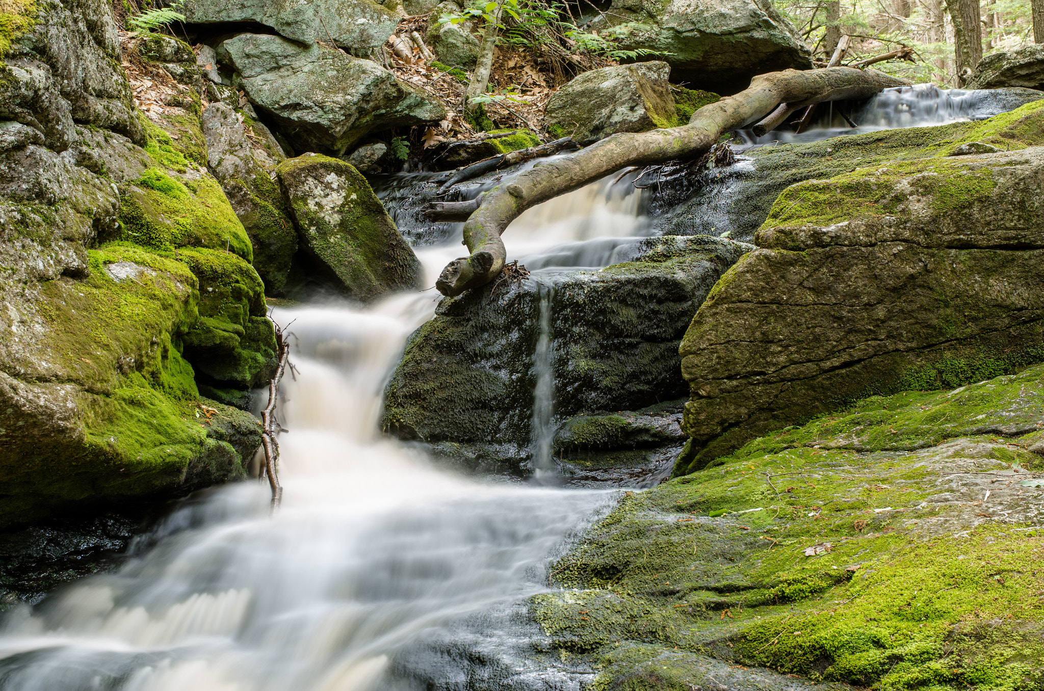 Pentax K-50 + Pentax smc DA* 55mm F1.4 SDM sample photo. Mossy waterfall photography