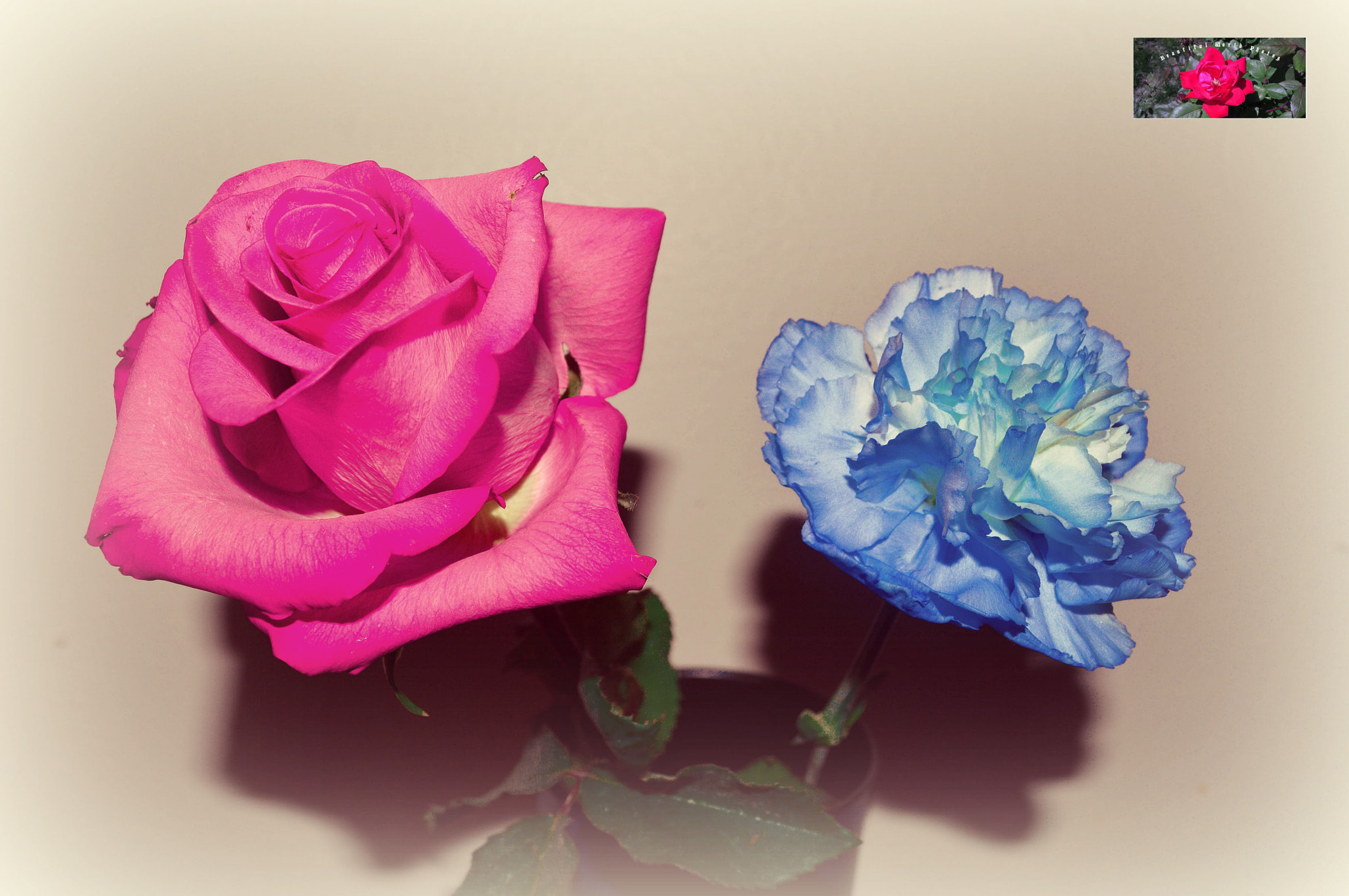 AF Zoom-Nikkor 35-70mm f/2.8 sample photo. Edit six photography