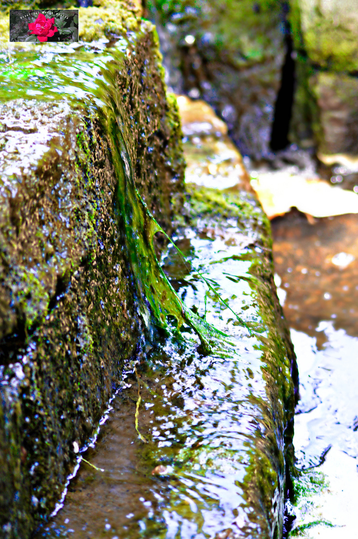 Sigma 35mm F1.4 DG HSM Art sample photo. -5.jpg photography