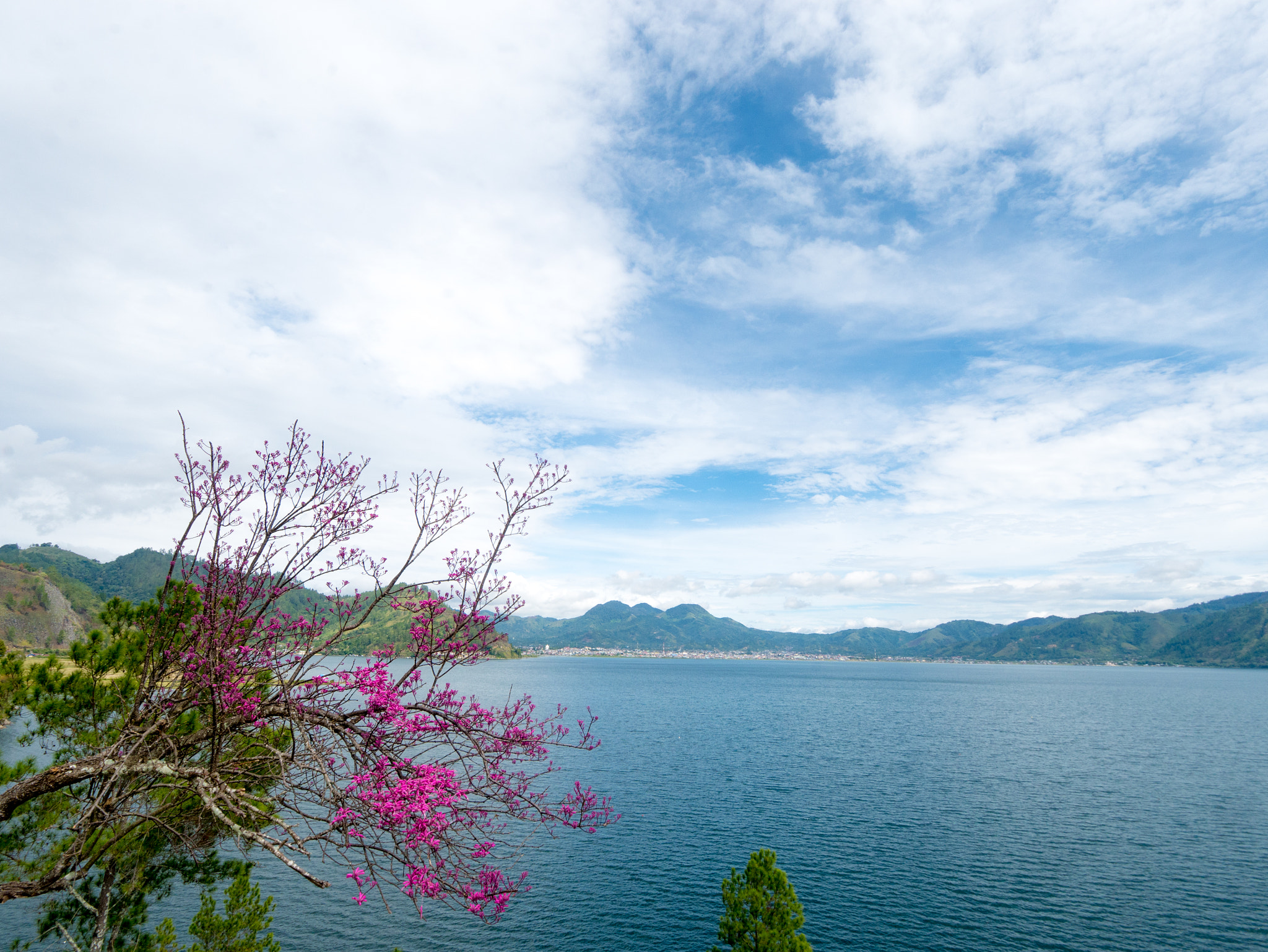 Panasonic Lumix DMC-GX7 + OLYMPUS M.9-18mm F4.0-5.6 sample photo. Danau lut tawar photography