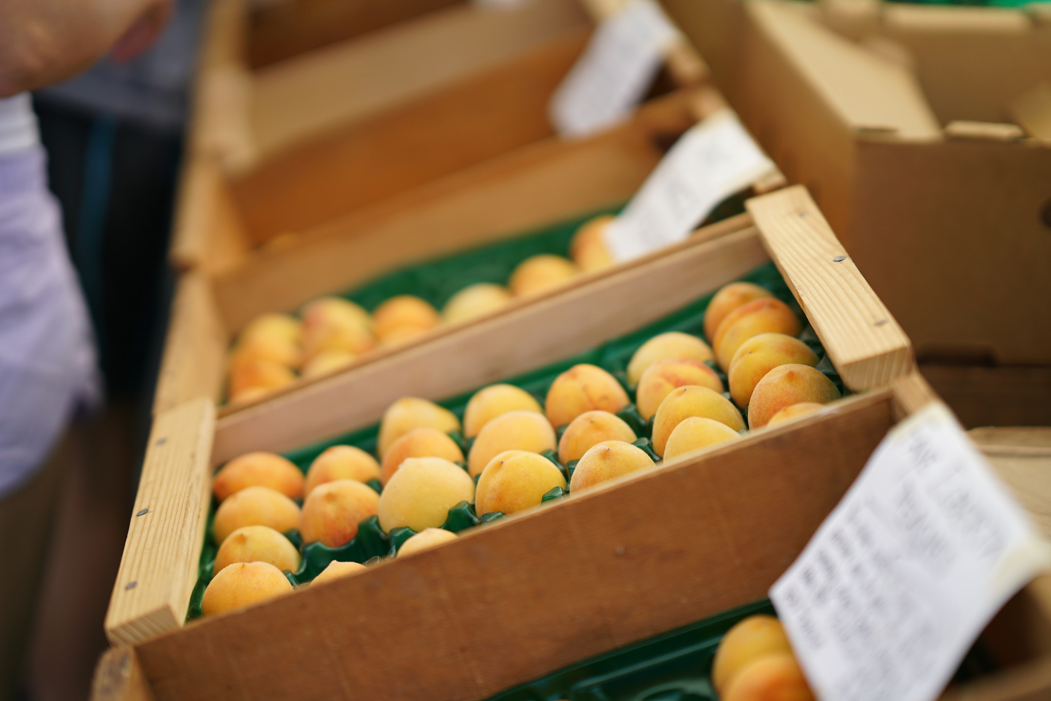Sony FE 85mm F1.4 GM sample photo. Farmers market in saint helena photography