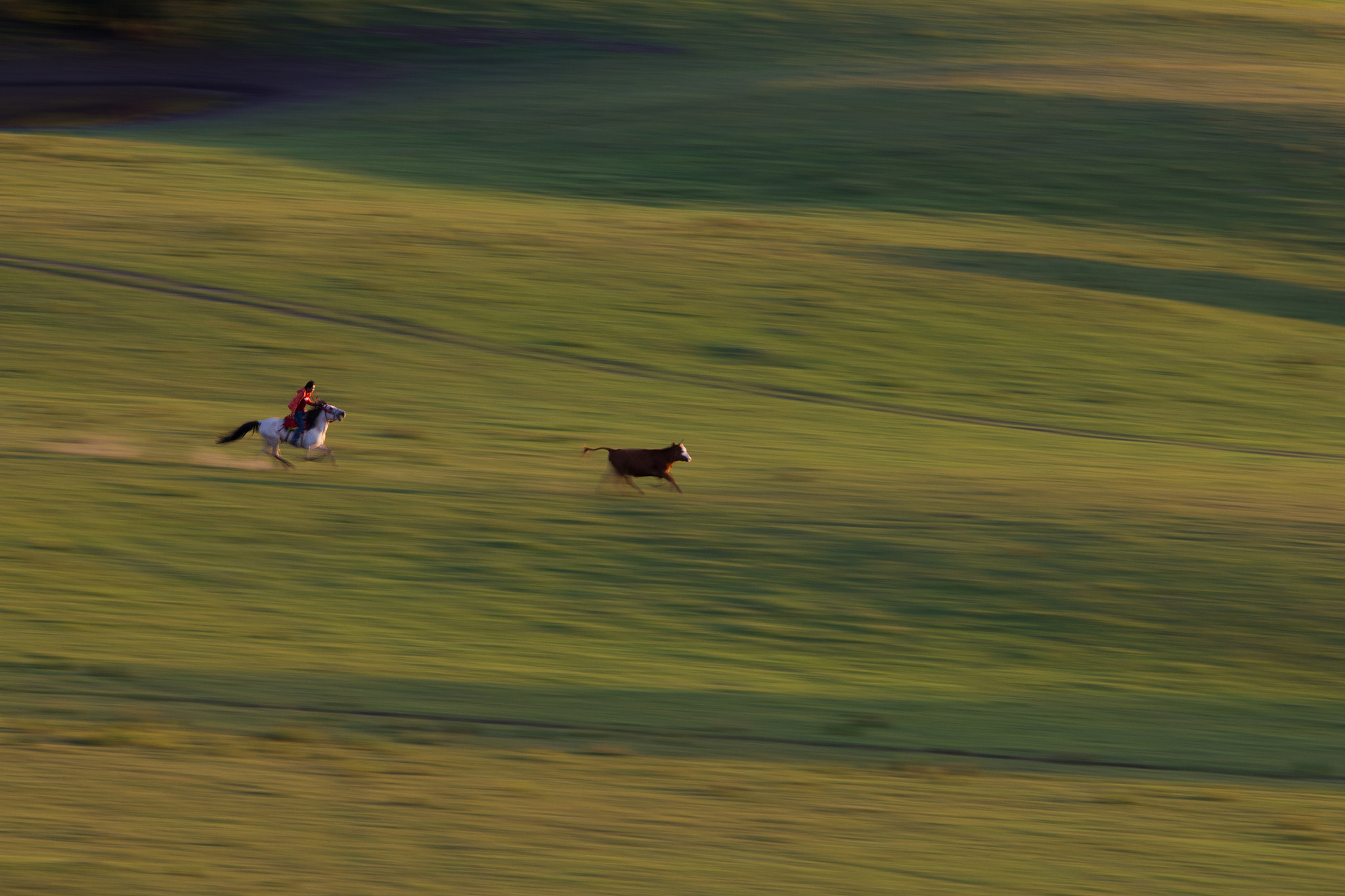 Canon EF 70-200mm F2.8L IS II USM sample photo