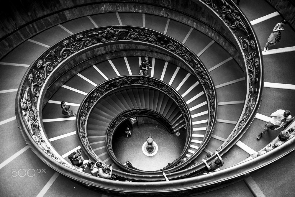 Nikon D610 + Nikon AF Nikkor 24mm F2.8D sample photo. The fibbonacci spiral photography