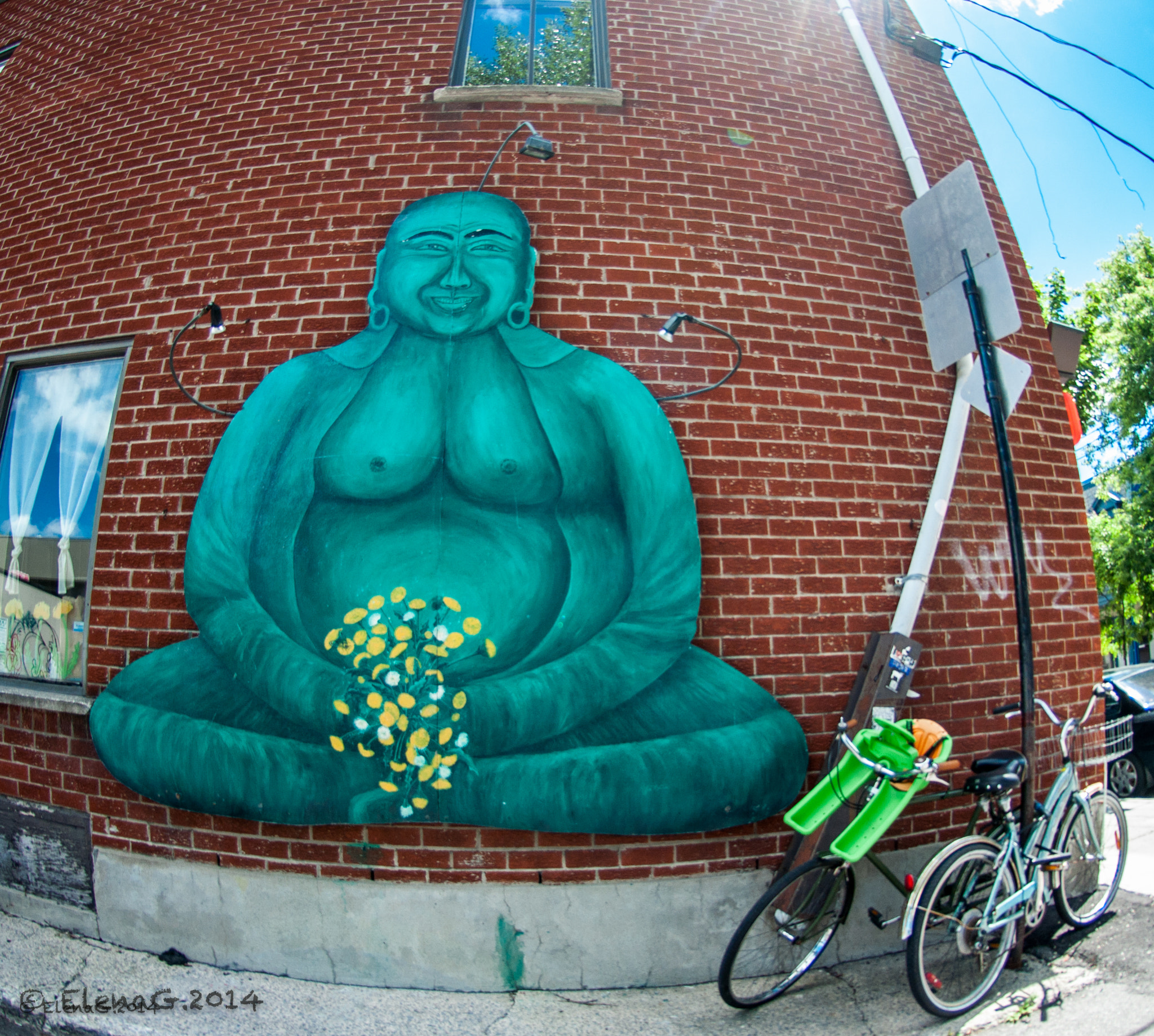 Nikon AF DX Fisheye-Nikkor 10.5mm F2.8G ED sample photo. Montreal, canada photography