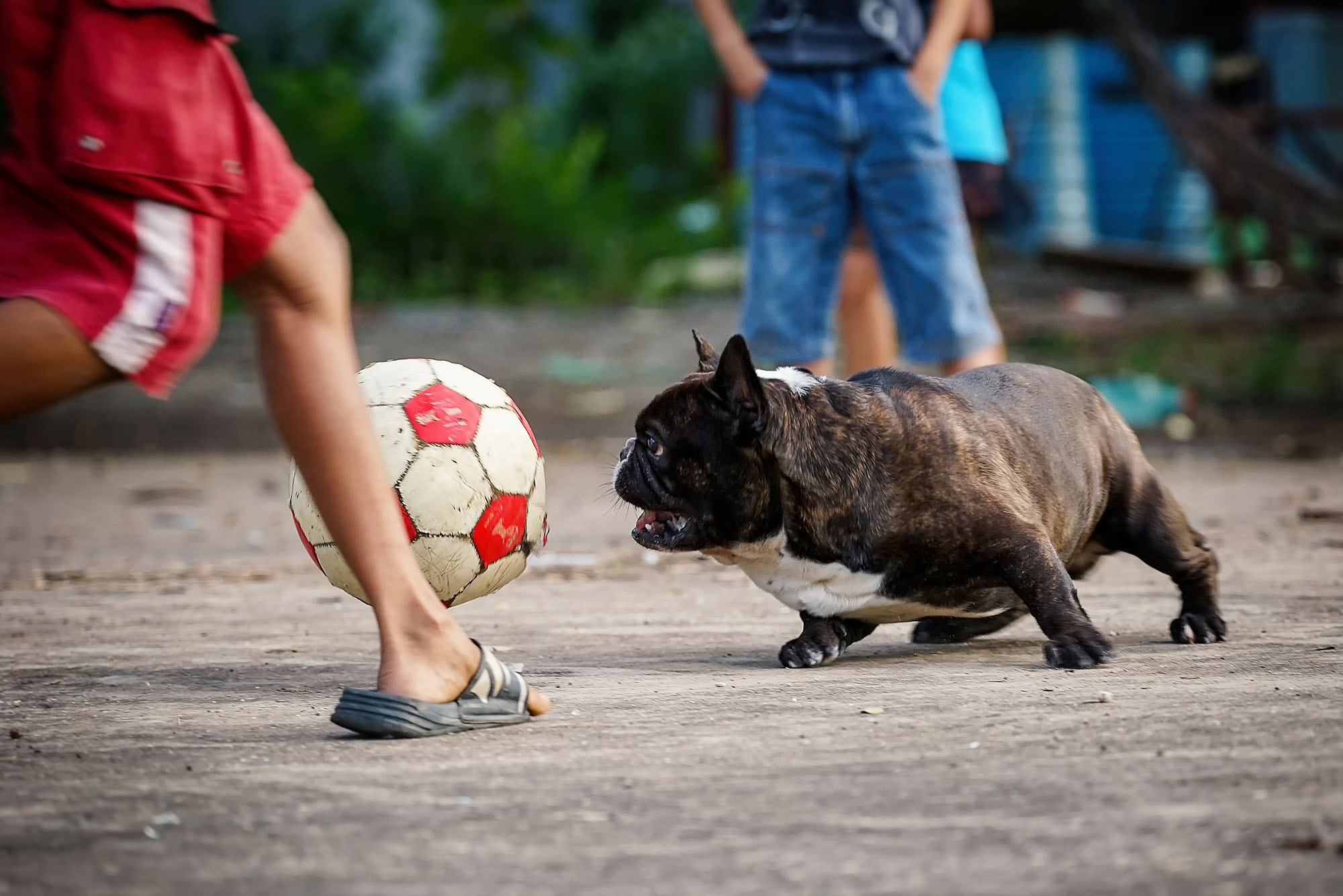 Sony 70-300mm F4.5-5.6 G SSM sample photo. Focus :) photography