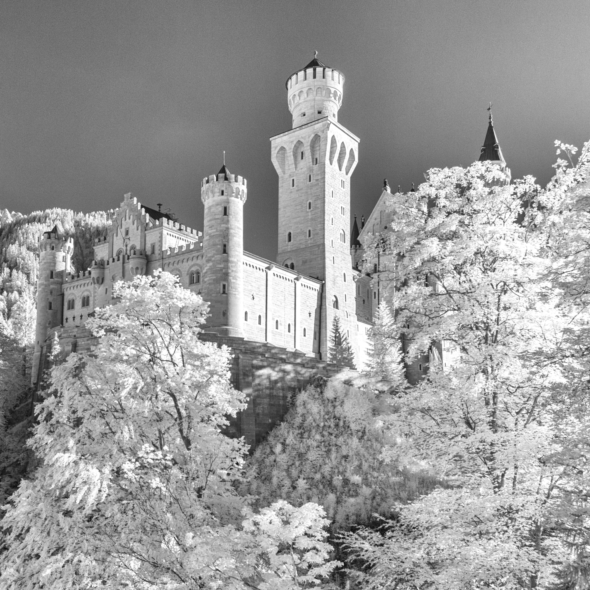 Canon EOS 550D (EOS Rebel T2i / EOS Kiss X4) + Canon EF 16-35mm F4L IS USM sample photo. Neuschwanstein castle photography