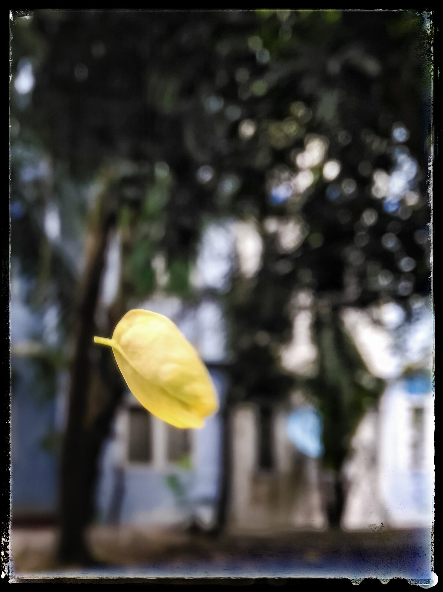 ASUS ZenFone 2 Laser (ZE500KL) sample photo
