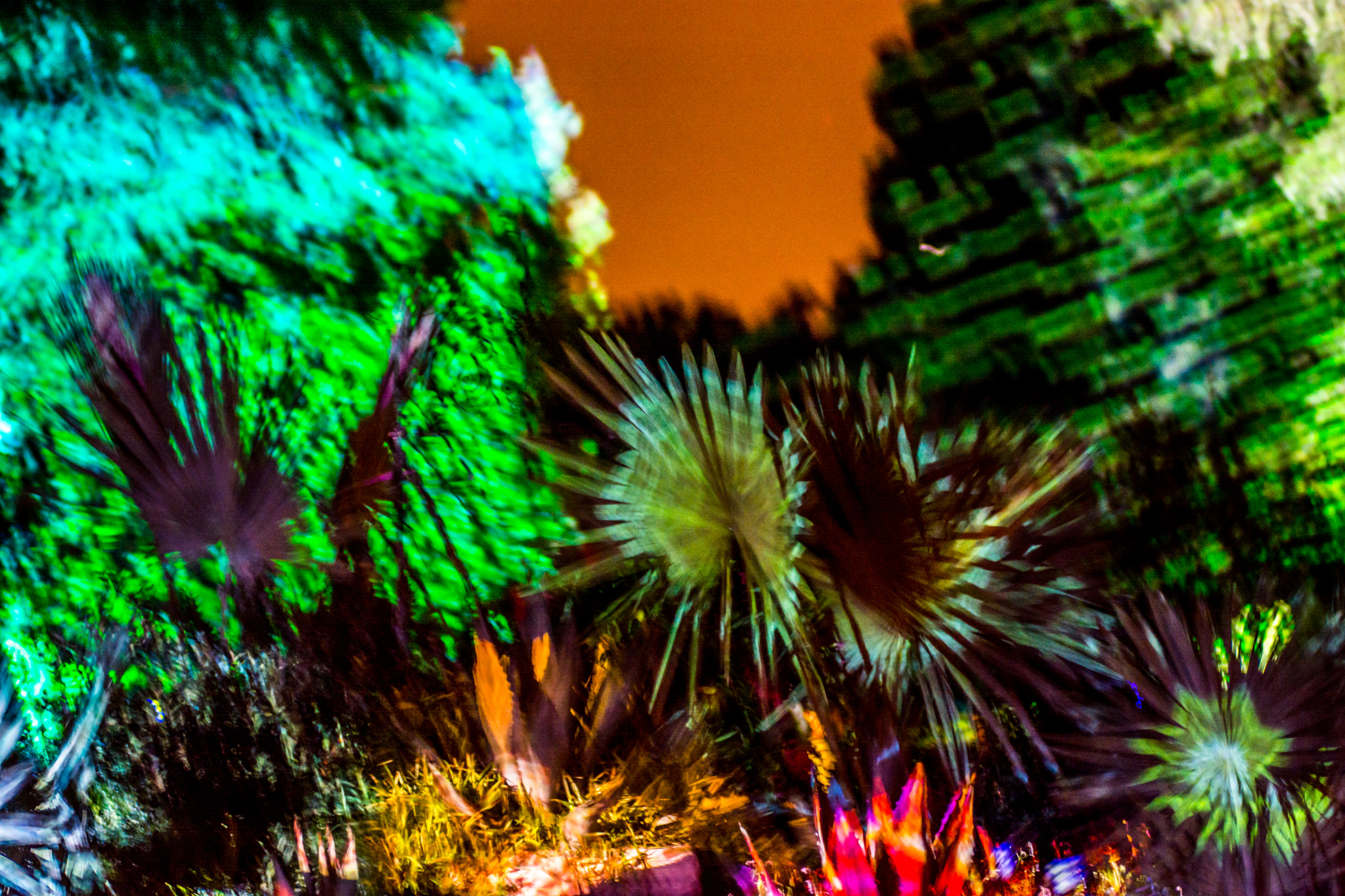 AF Zoom-Nikkor 80-200mm f/2.8 ED sample photo. Trees on fire in the night photography