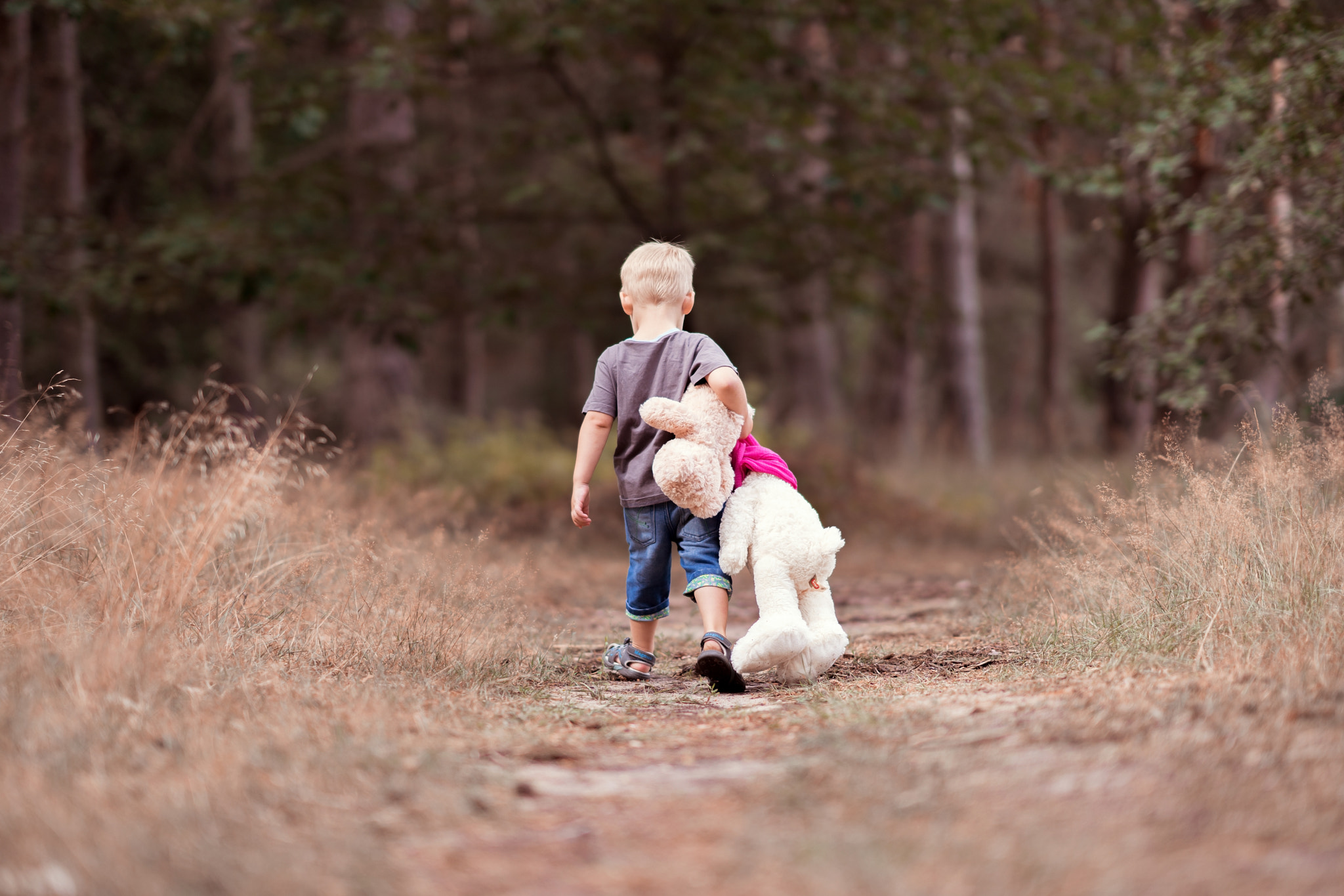 Sony a7 II + FE 85mm F1.4 sample photo