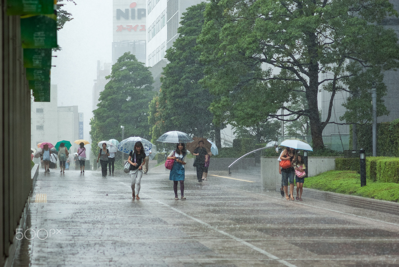 Pentax K10D sample photo. When umbrellas aren't enough photography