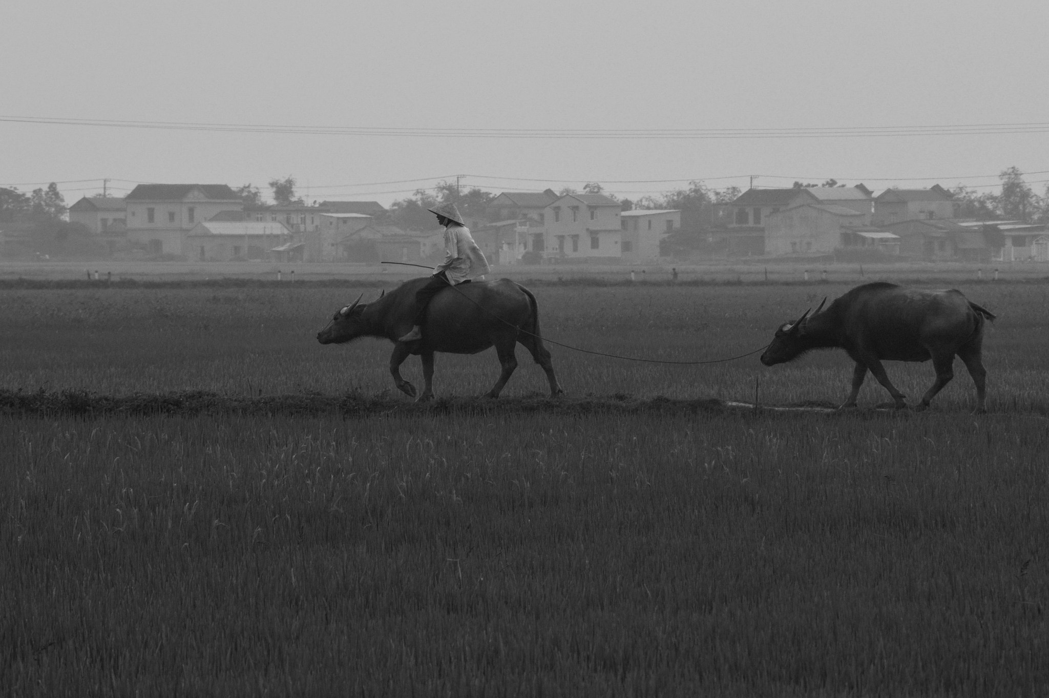Nikon D3200 + AF Zoom-Nikkor 70-210mm f/4 sample photo. Về nhà photography