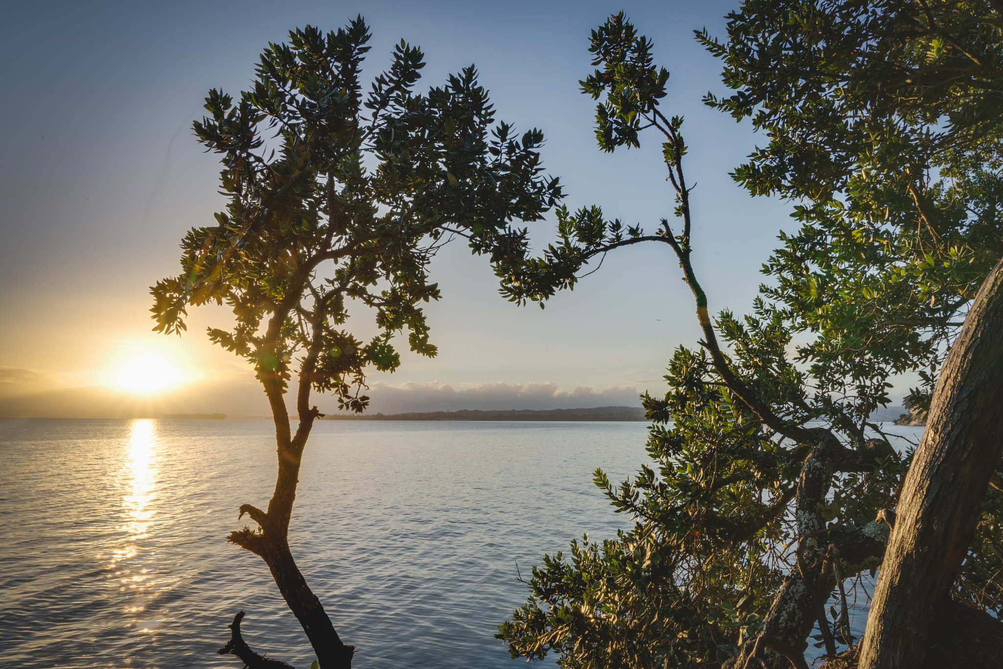 Sony a7R + Sony FE 24-70mm F2.8 GM sample photo. Howick sunrise photography