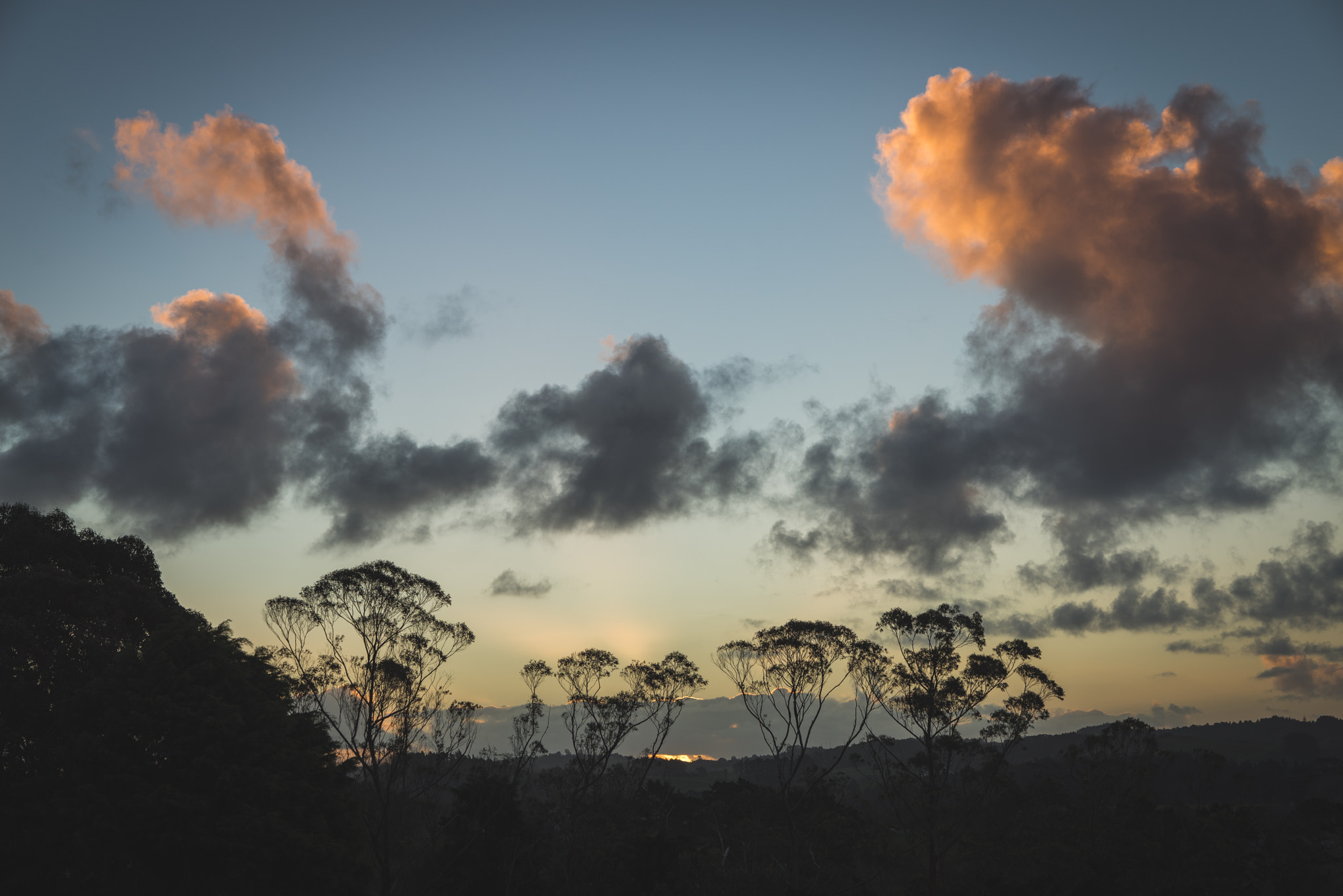 Sony a7R + Sony FE 24-70mm F2.8 GM sample photo. Dairy flat sunset photography