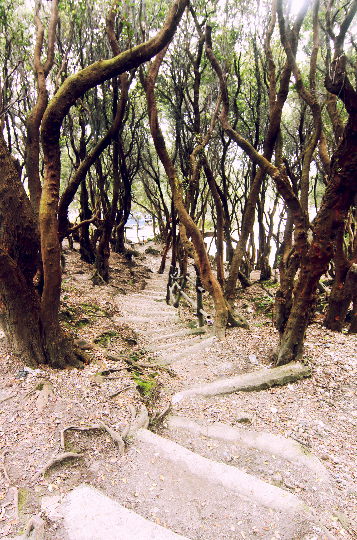 Canon EOS 650D (EOS Rebel T4i / EOS Kiss X6i) sample photo. Takuban perahu photography