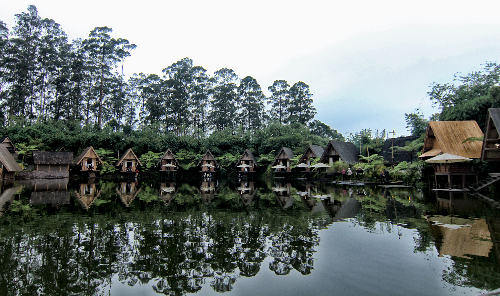 Canon EOS 650D (EOS Rebel T4i / EOS Kiss X6i) + Tokina AT-X 12-28mm F4 Pro DX sample photo. Dusun bambu photography