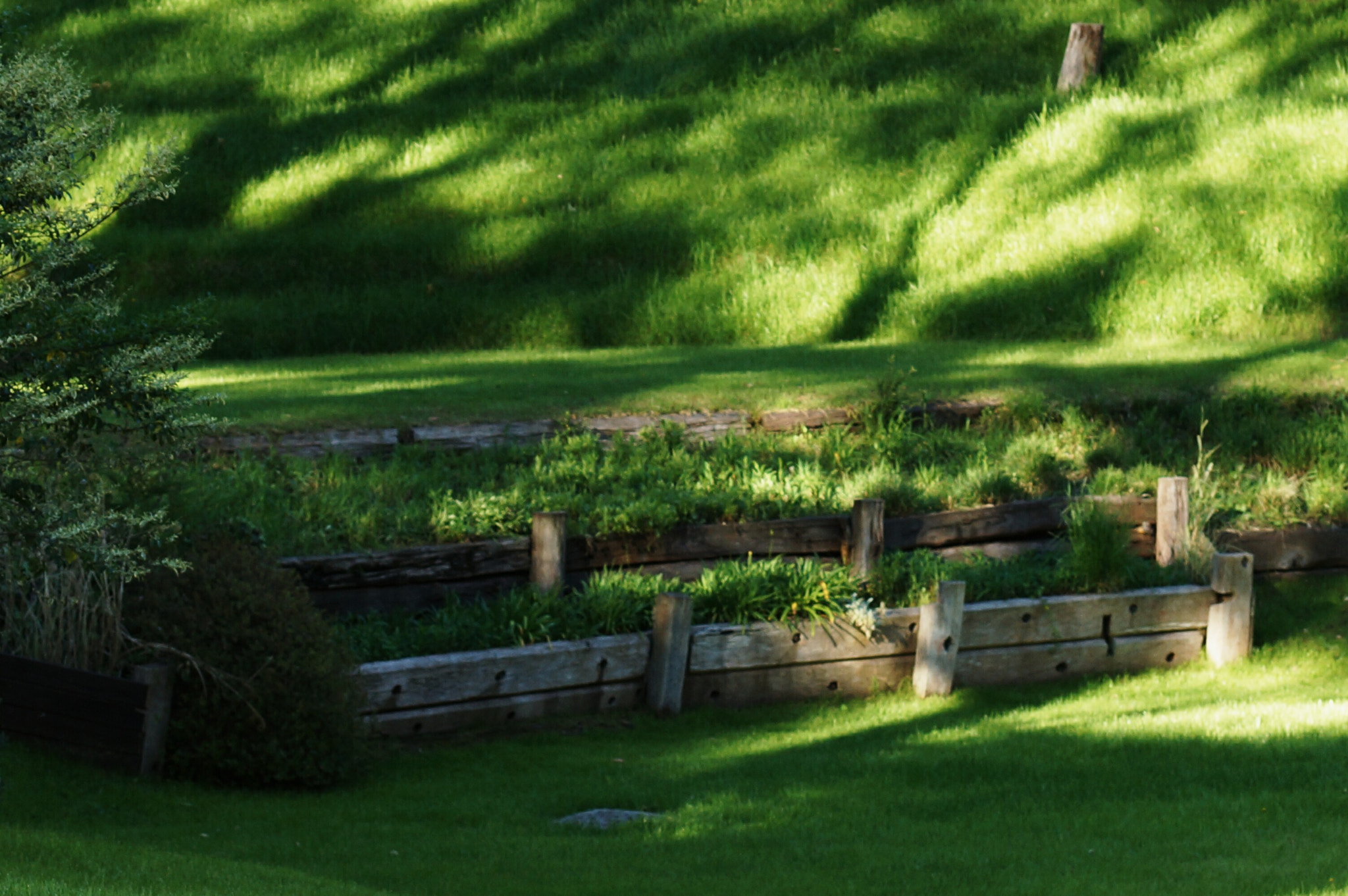 Sony DT 55-300mm F4.5-5.6 SAM sample photo. Hotel del bosque's garden view photography