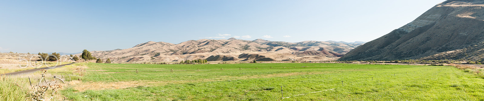 Canon EOS-1Ds Mark III sample photo. Painted hills, or photography