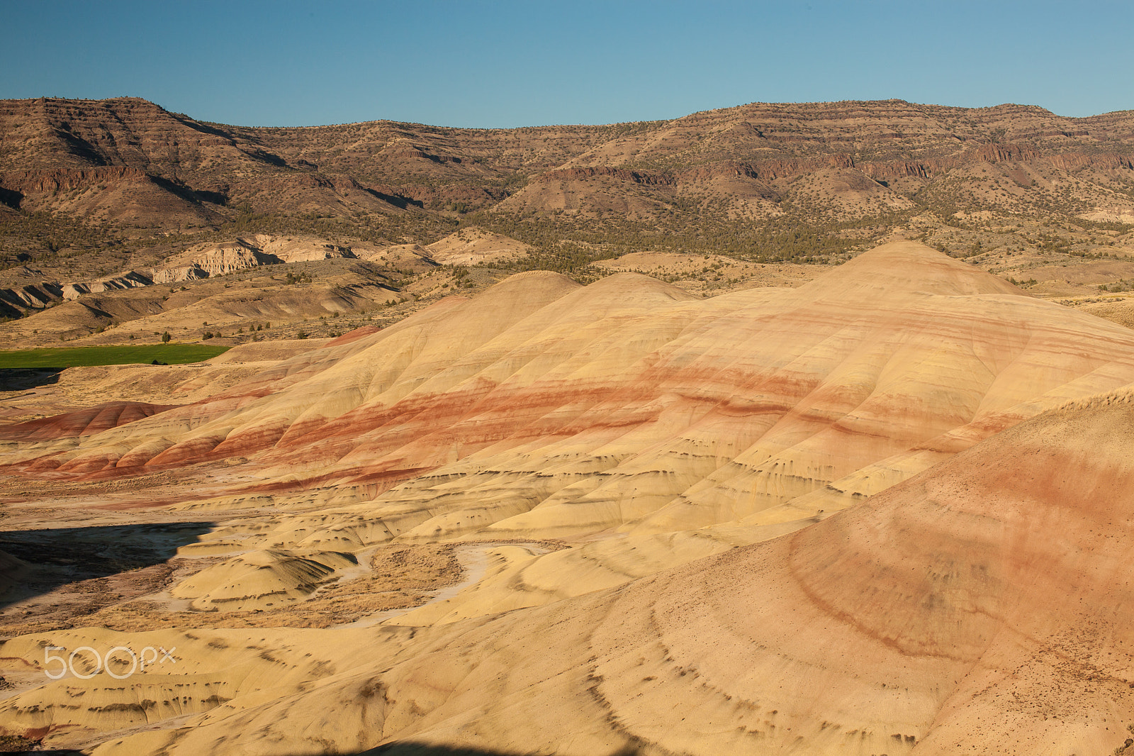 Canon EOS-1Ds Mark III sample photo. Painted hills, or photography