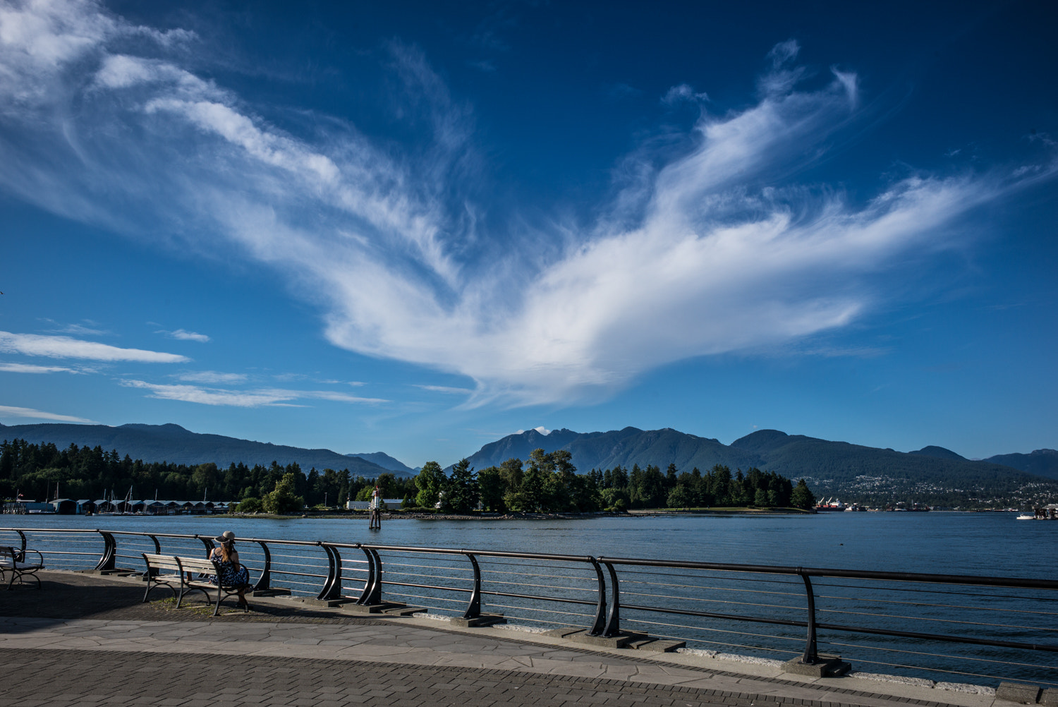 Leica Super-Elmar-M 21mm F3.4 ASPH sample photo. Vancouver sky photography