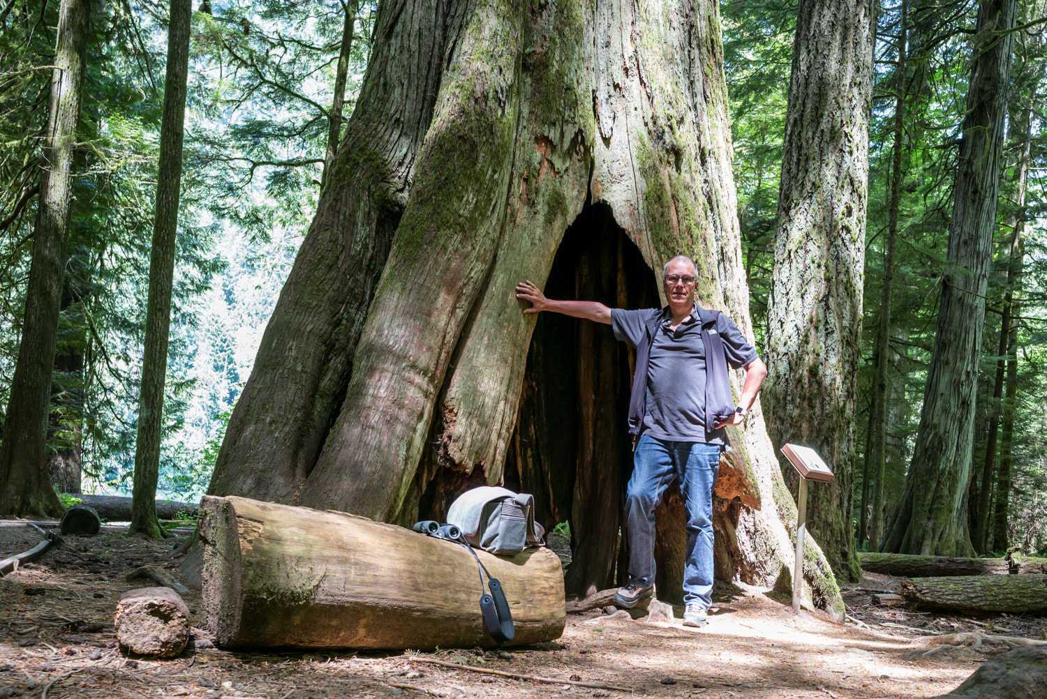 Leica Super-Elmar-M 21mm F3.4 ASPH sample photo. Photographer at cathedral grove photography