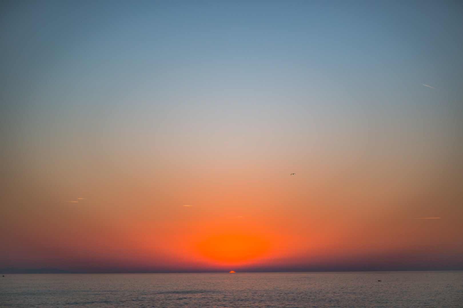 Canon EOS 6D + Canon EF 85mm F1.2 sample photo. Seagull&planes/sunset photography
