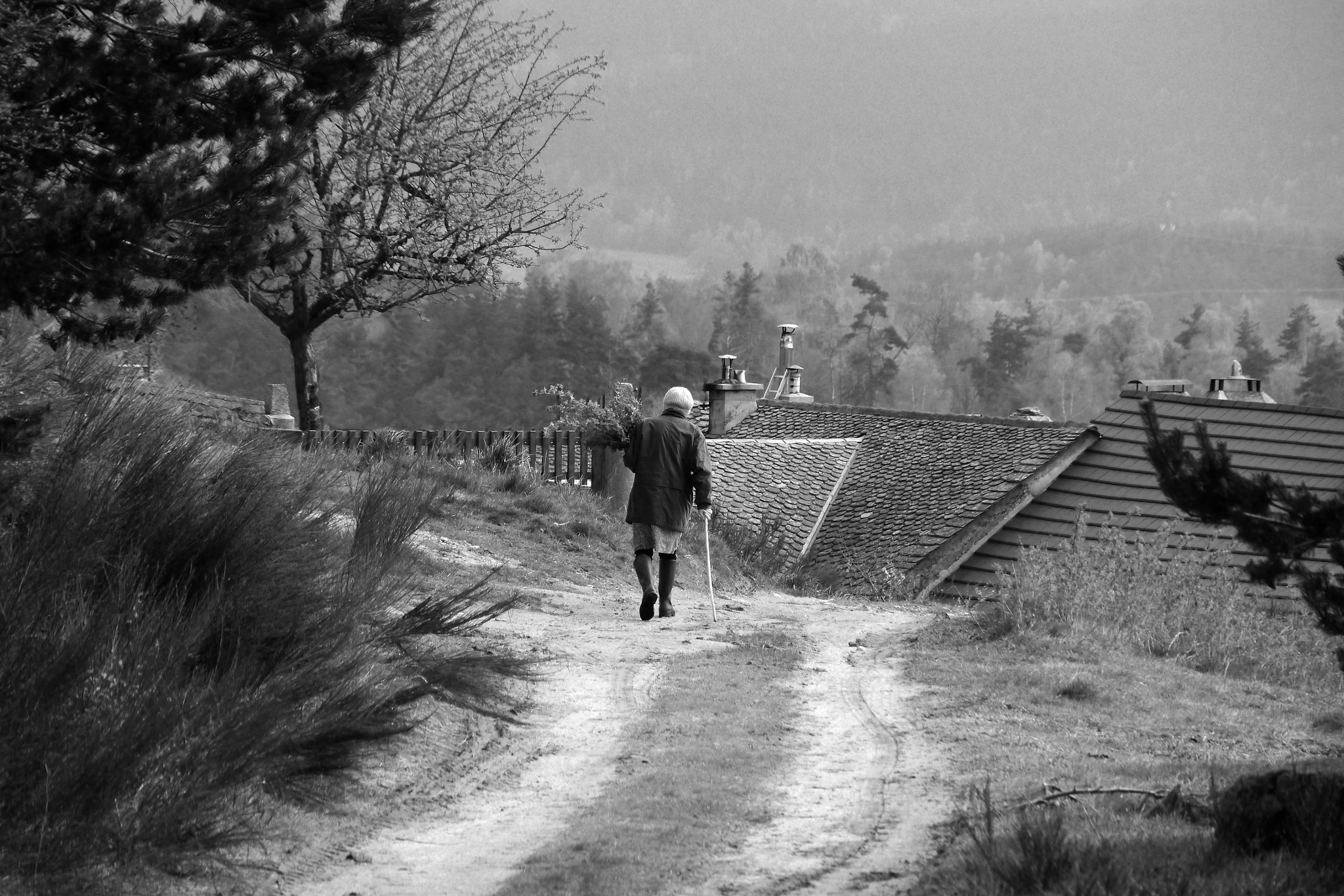 Panasonic Lumix DMC-G5 sample photo. Path in aveyron photography