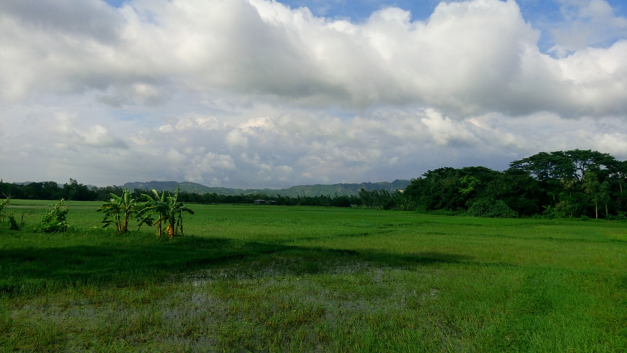 Sony Xperia M5 Dual sample photo