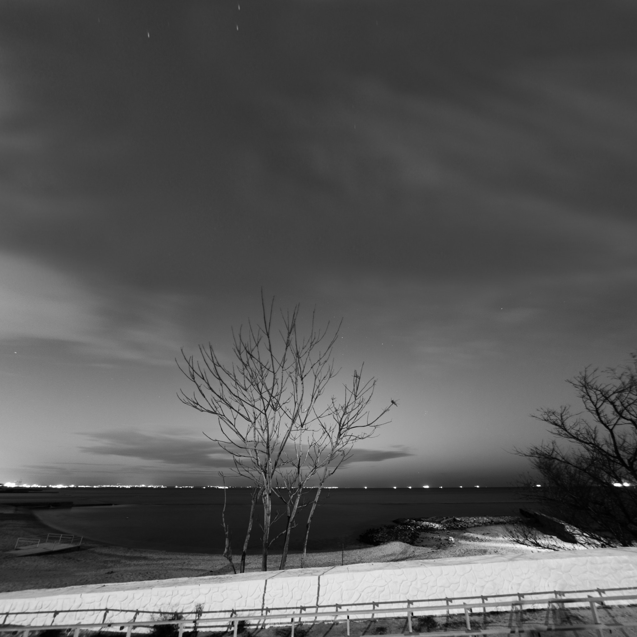 Nikon AF DX Fisheye-Nikkor 10.5mm F2.8G ED sample photo. ... photography