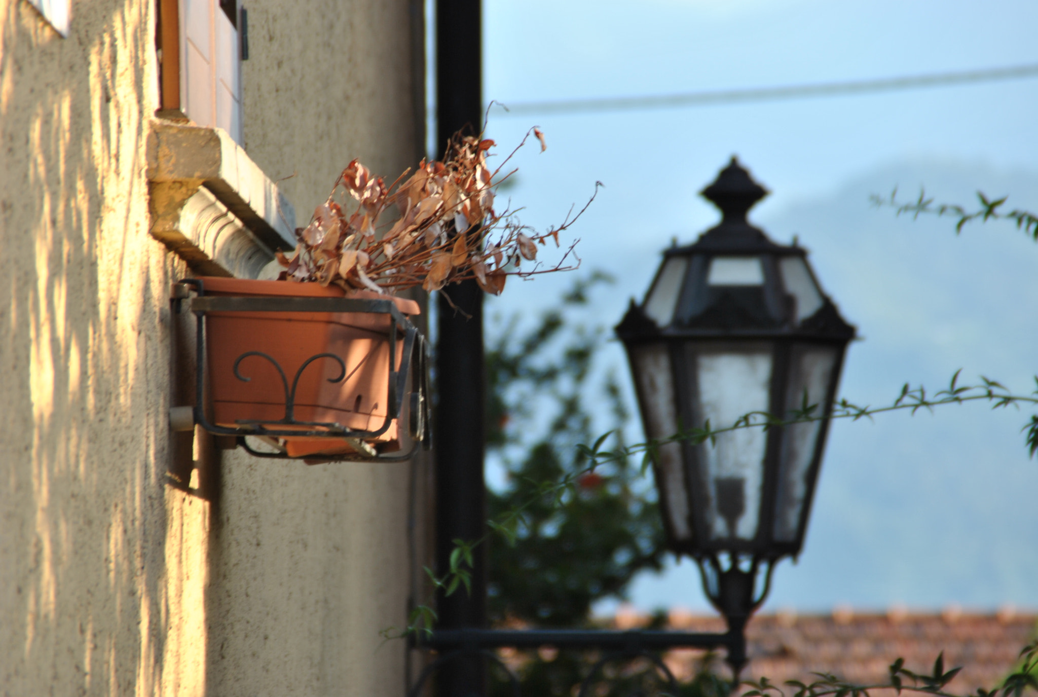 Nikon D3000 sample photo. In attesa photography