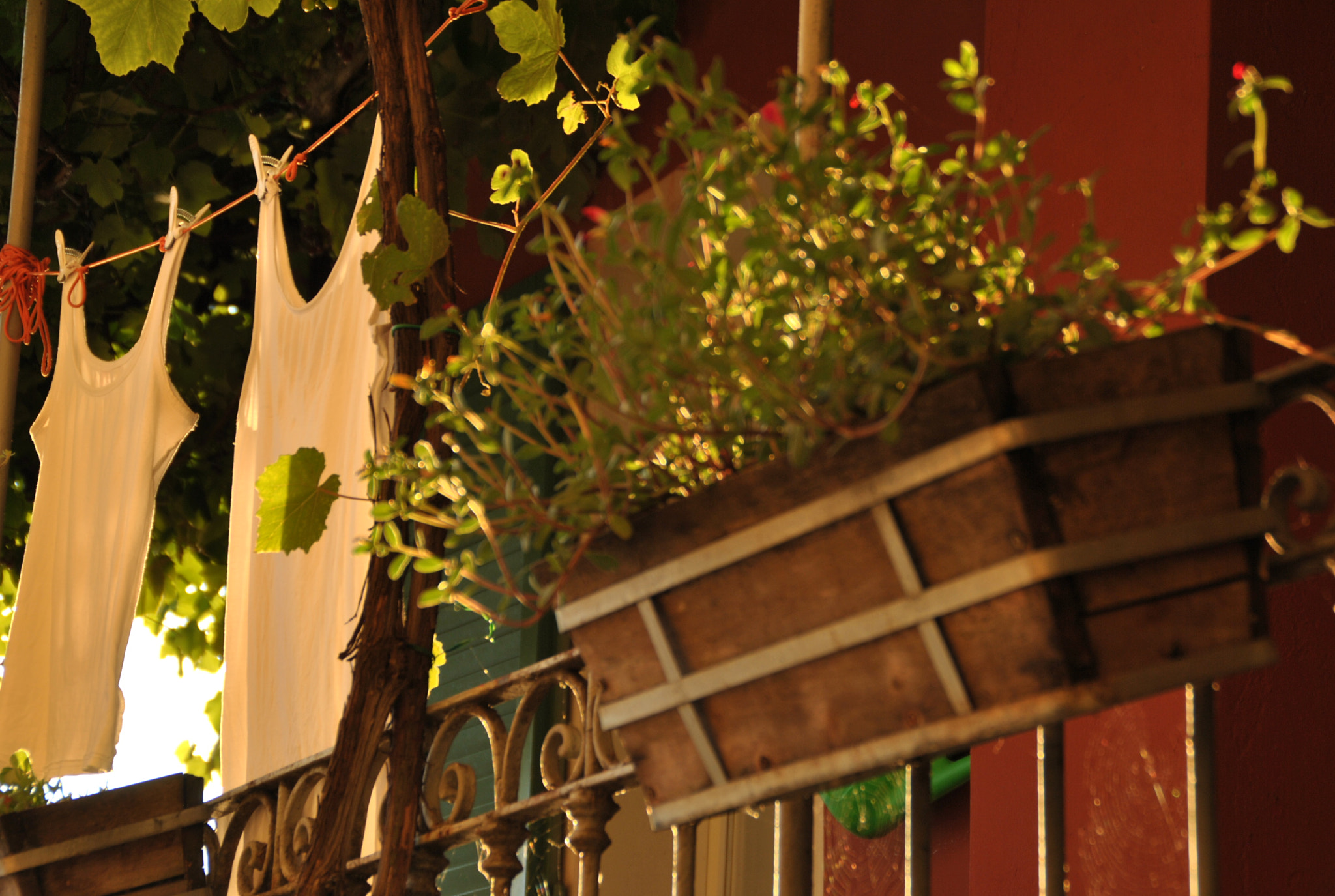 Nikon D3000 sample photo. Life photography