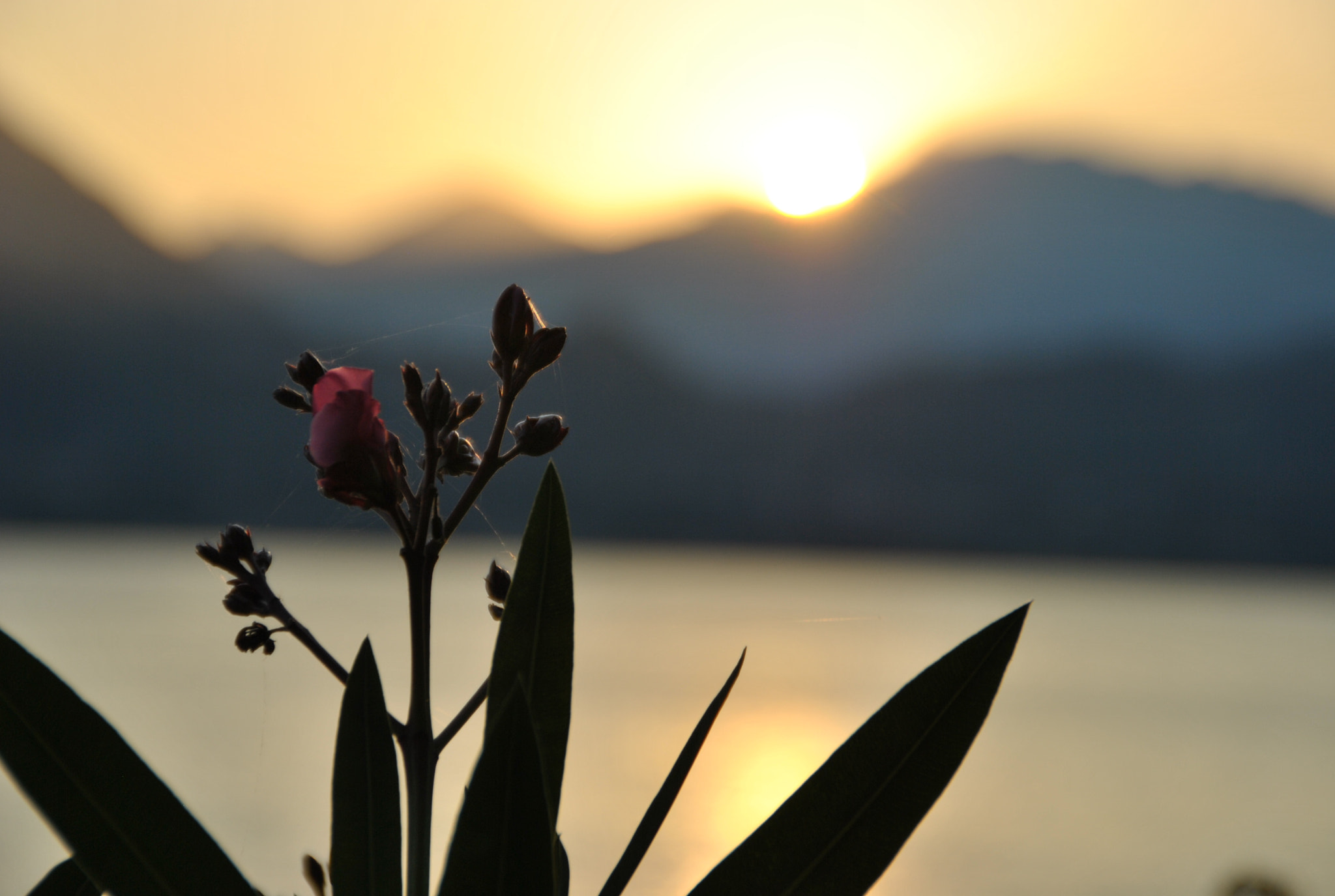 Nikon D3000 sample photo. Inizio vs fine photography