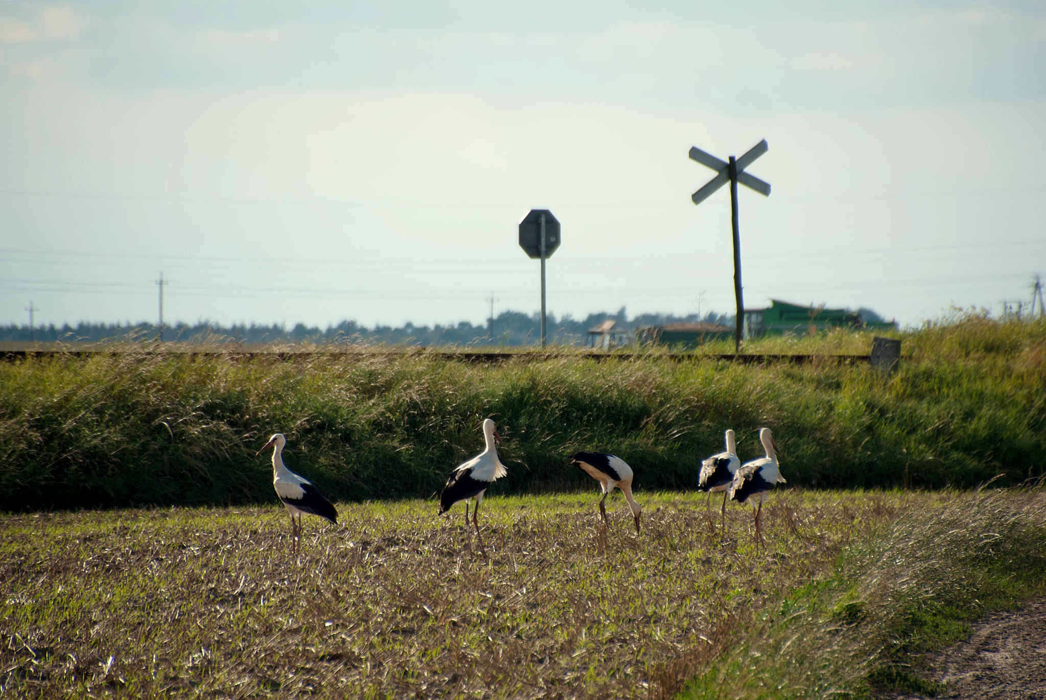 Sony Alpha DSLR-A300 + DT 18-270mm F3.5-6.3 SSM sample photo. Odjazd pociągiem... photography