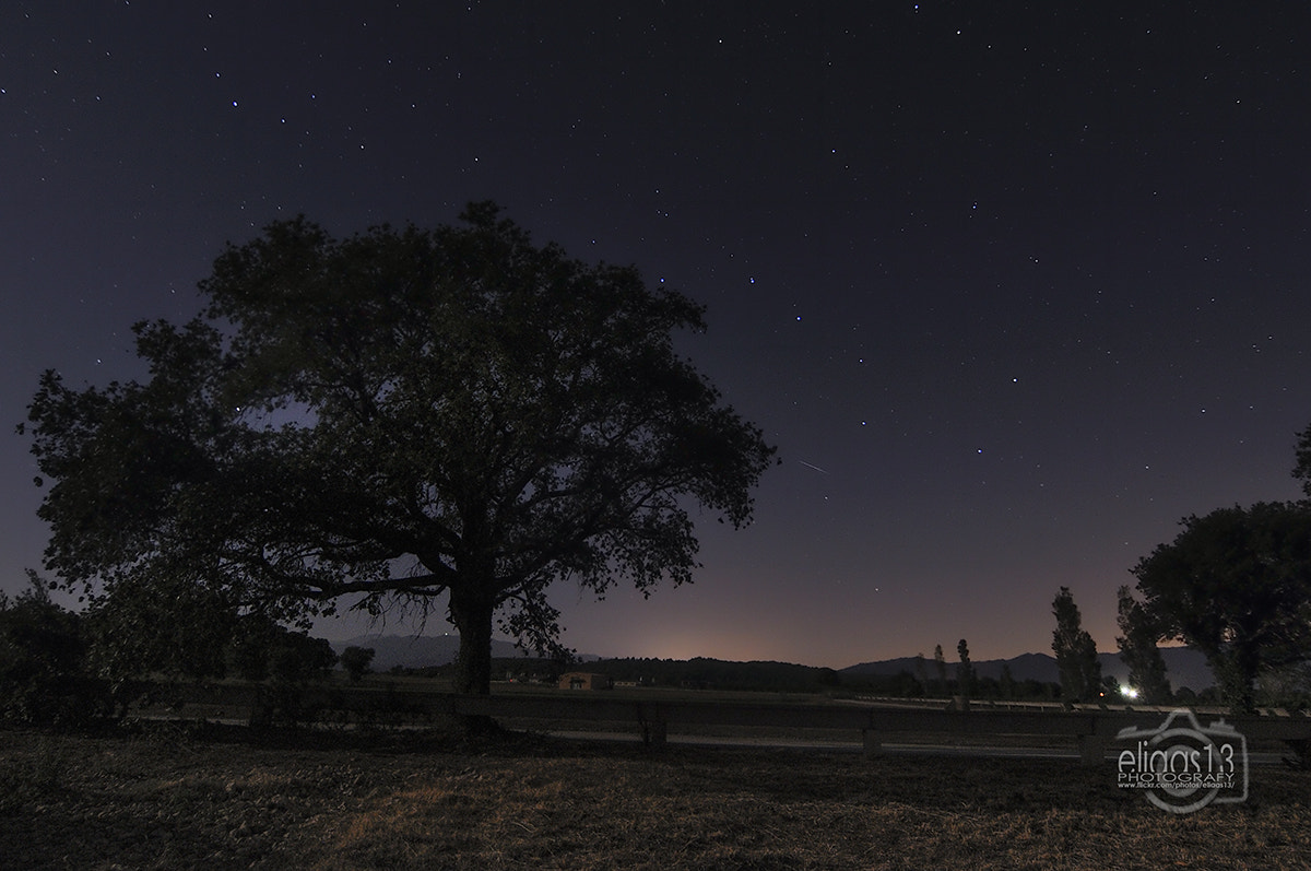 Nikon D300S sample photo. Perseids photography