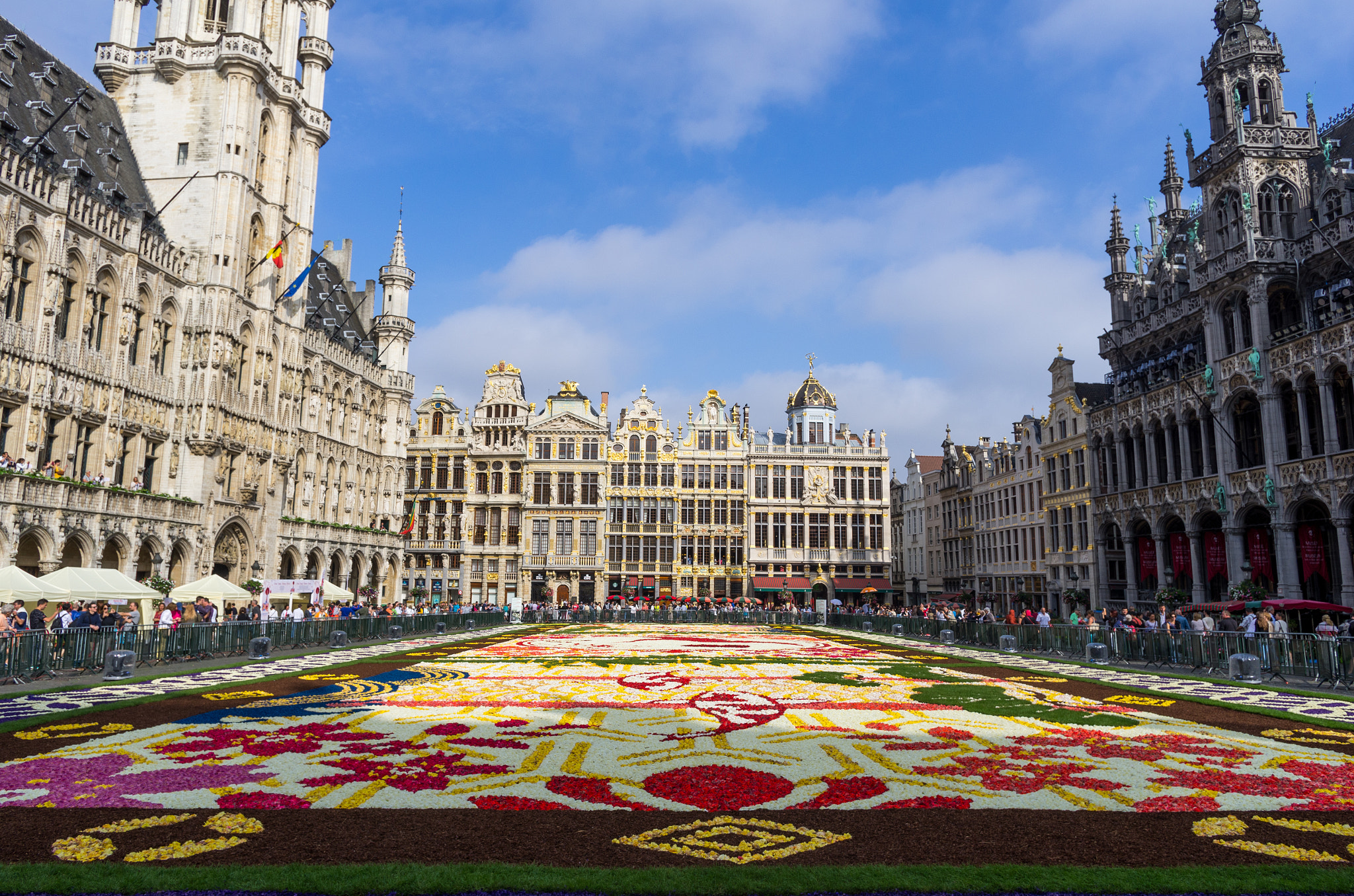 Pentax smc DA 15mm F4 ED AL Limited sample photo. Tapis de fleurs grand place bruxelles photography