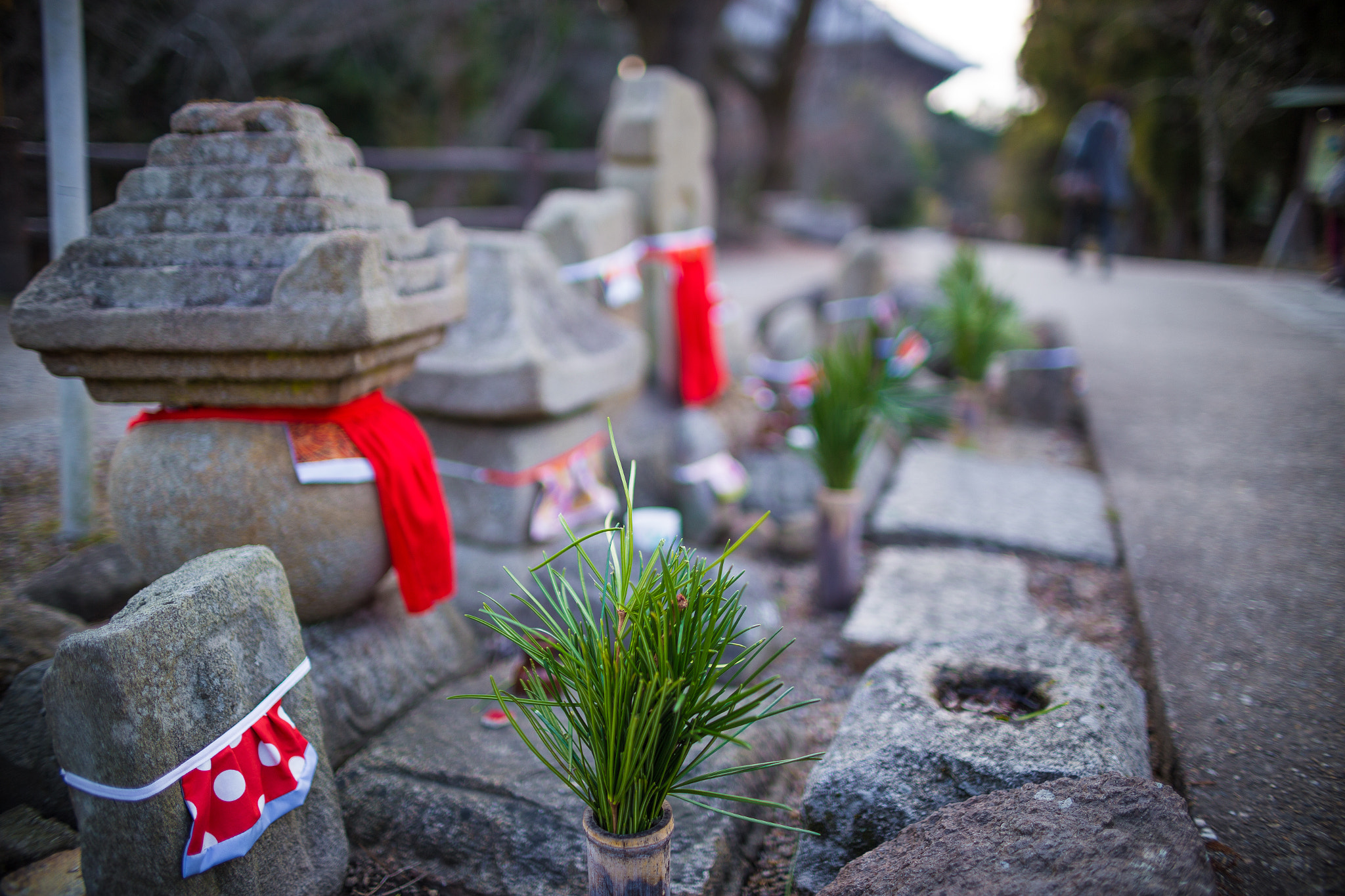 Sigma 30mm F1.4 EX DC HSM sample photo. Nara photography