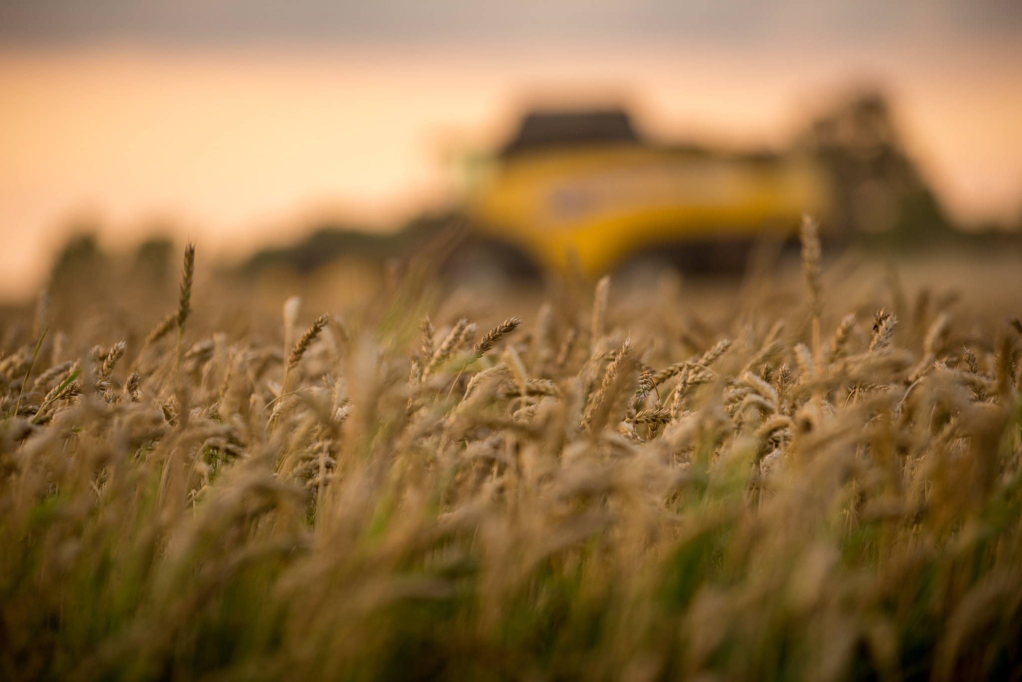AF-S Zoom-Nikkor 80-200mm f/2.8D IF-ED sample photo. Harvest in lithuania photography
