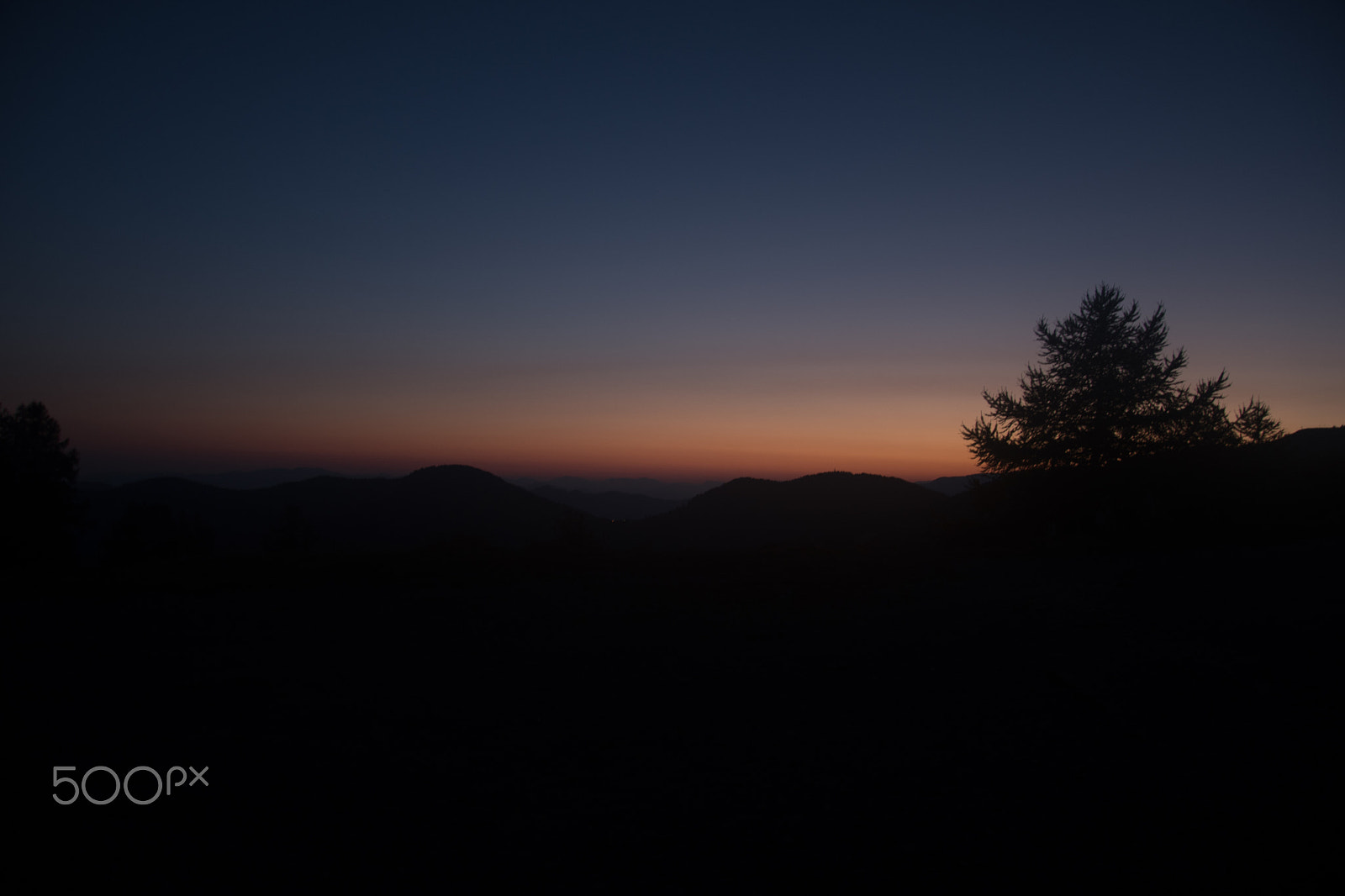Nikon D500 sample photo. L'authion photography