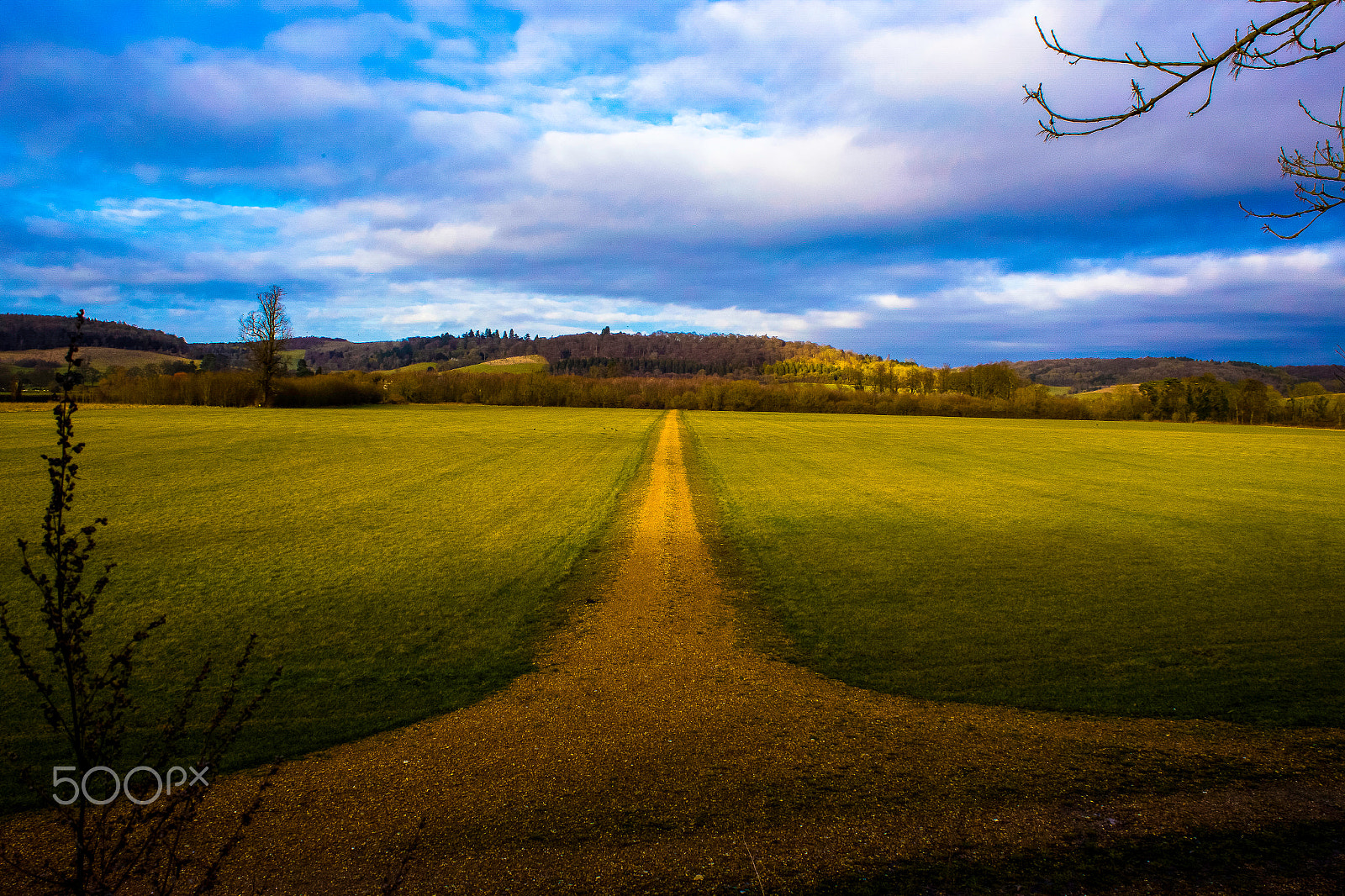 Canon EOS 6D + Canon EF 28-80mm f/3.5-5.6 sample photo. Track between the fields photography