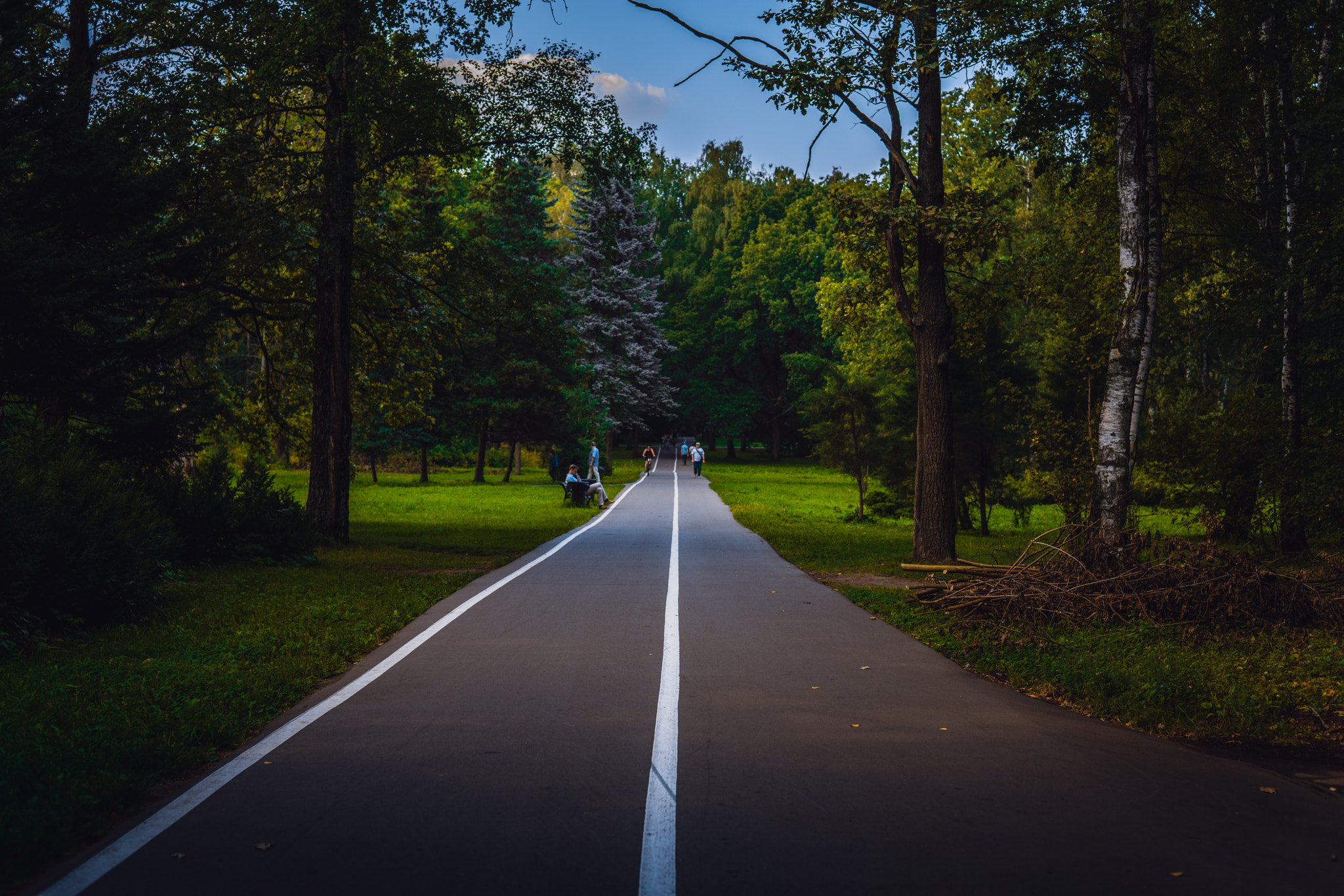 Sony a7R II + Sony 50mm F1.4 sample photo. Lines photography