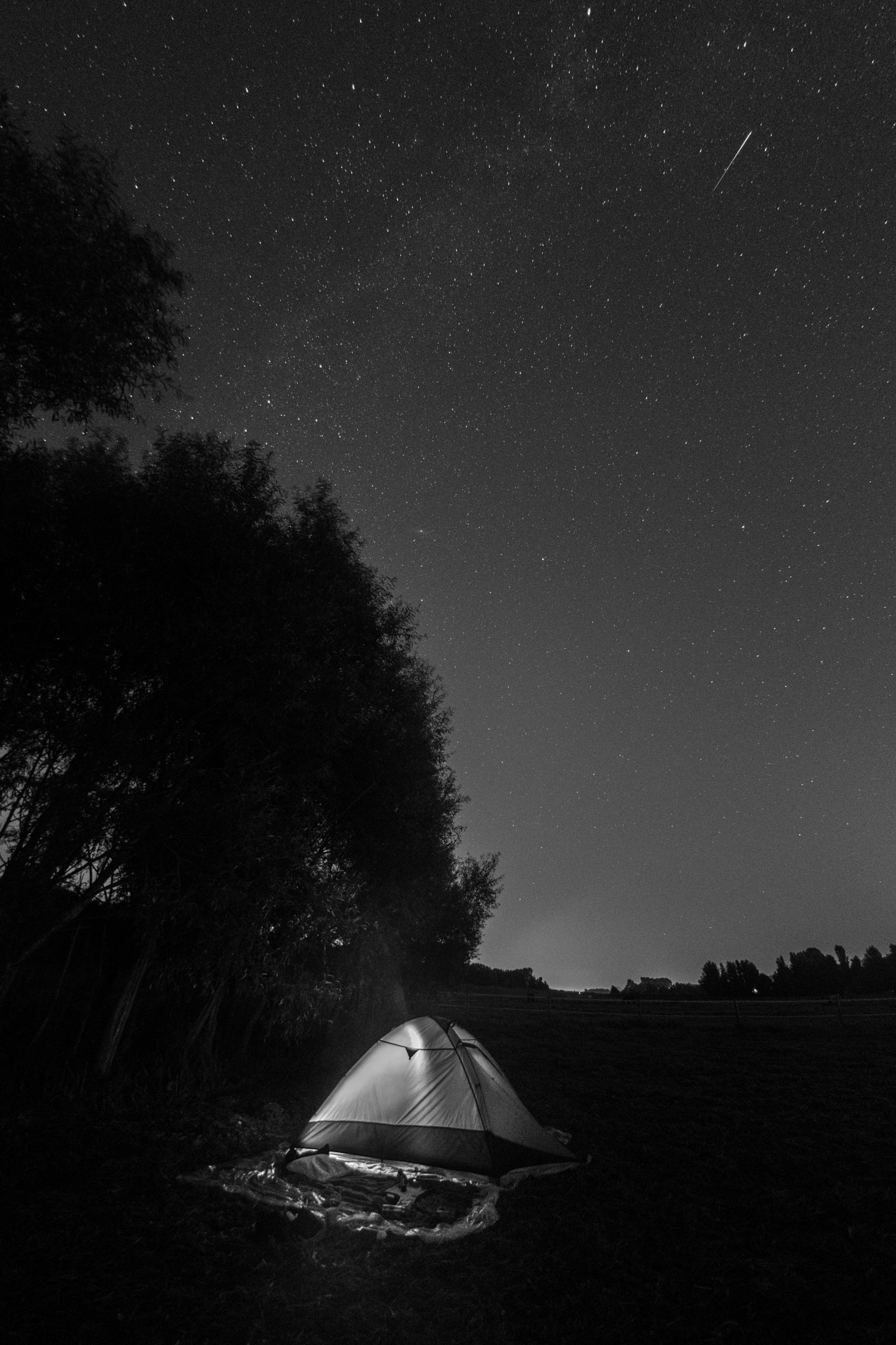 Nikon AF DX Fisheye-Nikkor 10.5mm F2.8G ED sample photo. Bright august ll photography