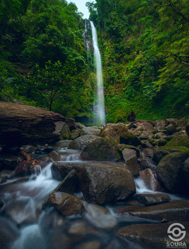 Nikon D3 + Nikon PC-E Nikkor 24mm F3.5D ED Tilt-Shift sample photo. Shower falls - philippines photography