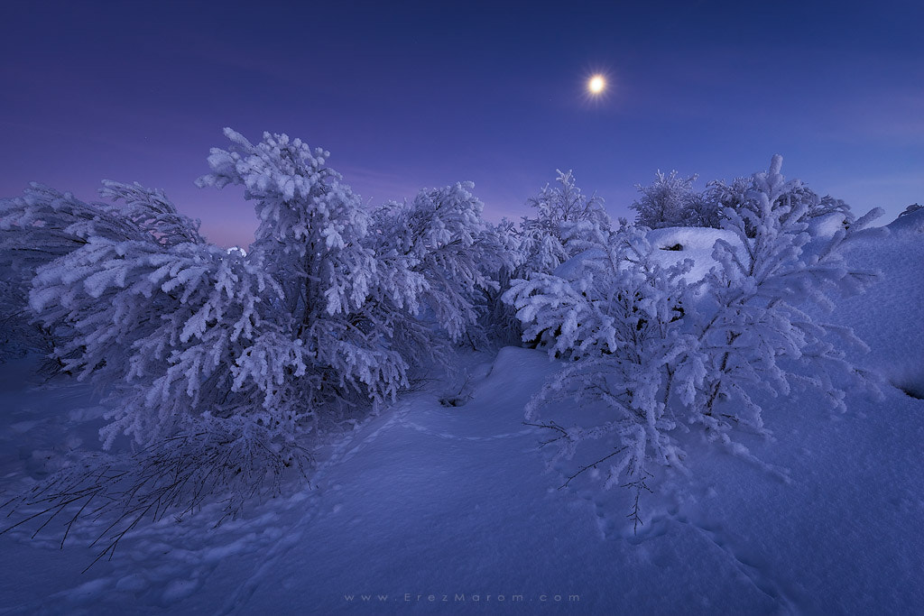 16-35mm F4 OSS sample photo. Ptarmigan grounds photography