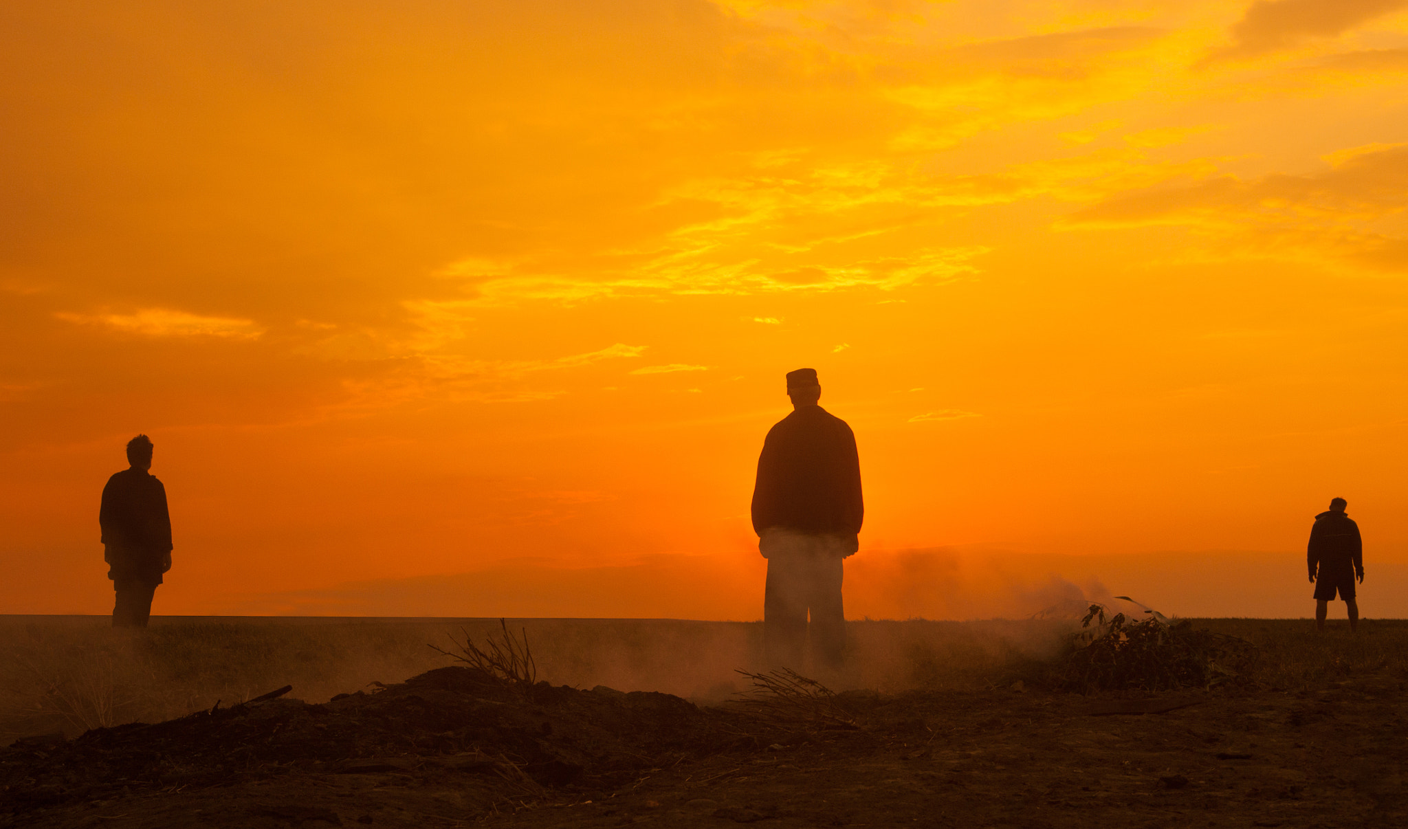 Canon EOS 50D sample photo. Golden hour photography