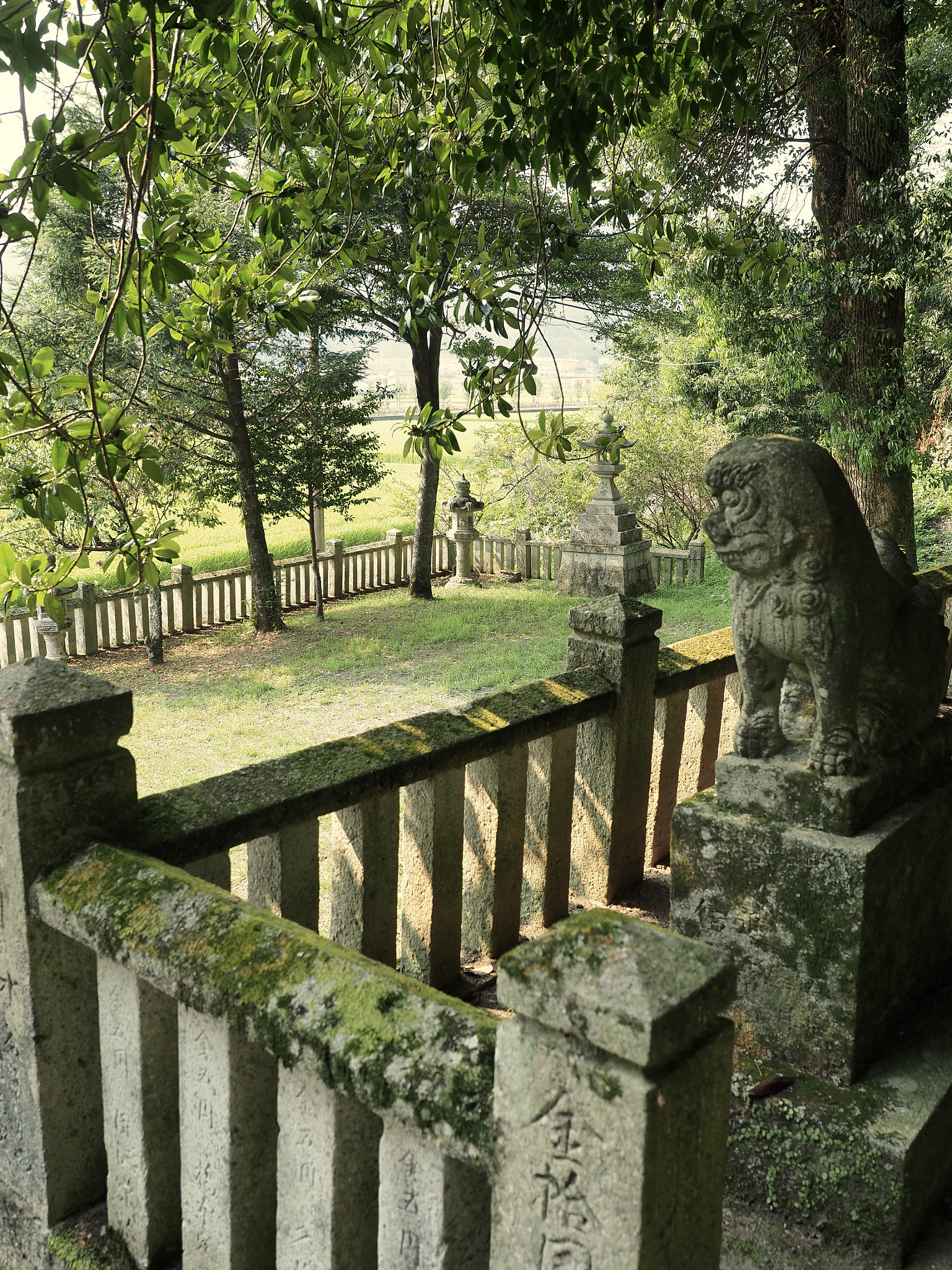 Olympus OM-D E-M5 II + Olympus M.Zuiko Digital ED 12-40mm F2.8 Pro sample photo. Yanocho shrine grounds photography