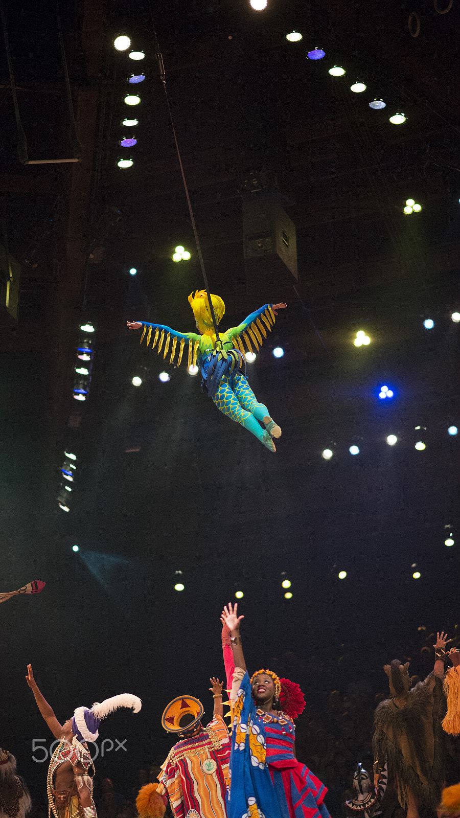 Nikon Df + Nikon AF-S Nikkor 85mm F1.8G sample photo. Festival of the lion king photography