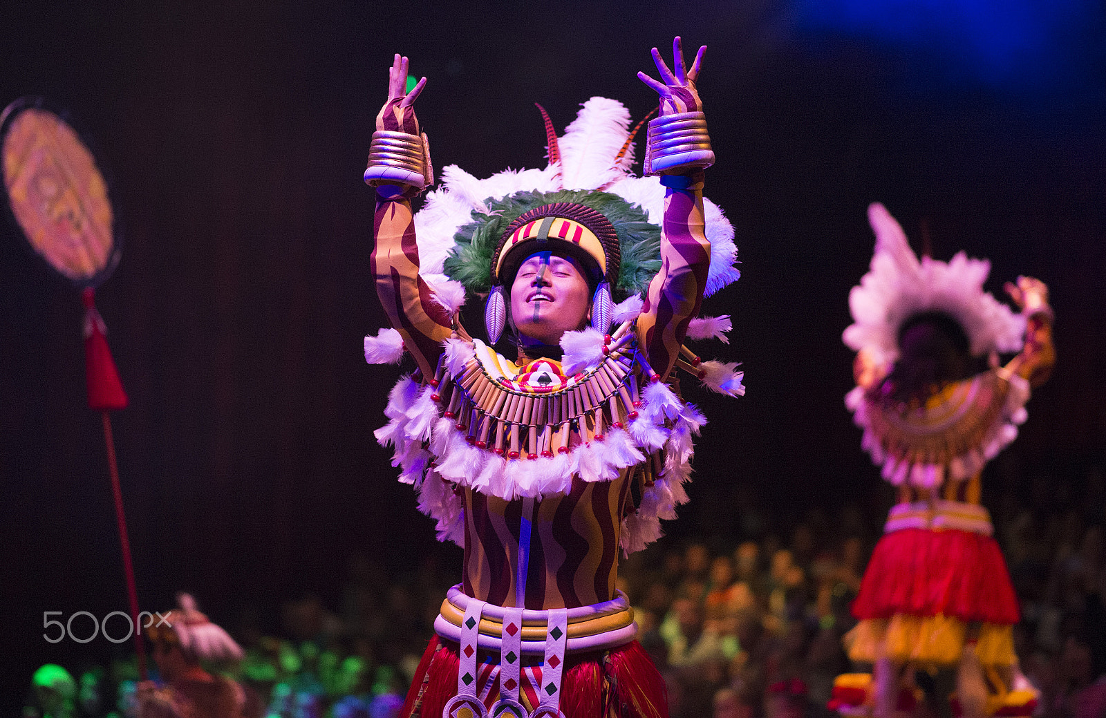 Nikon Df sample photo. Festival of the lion king photography