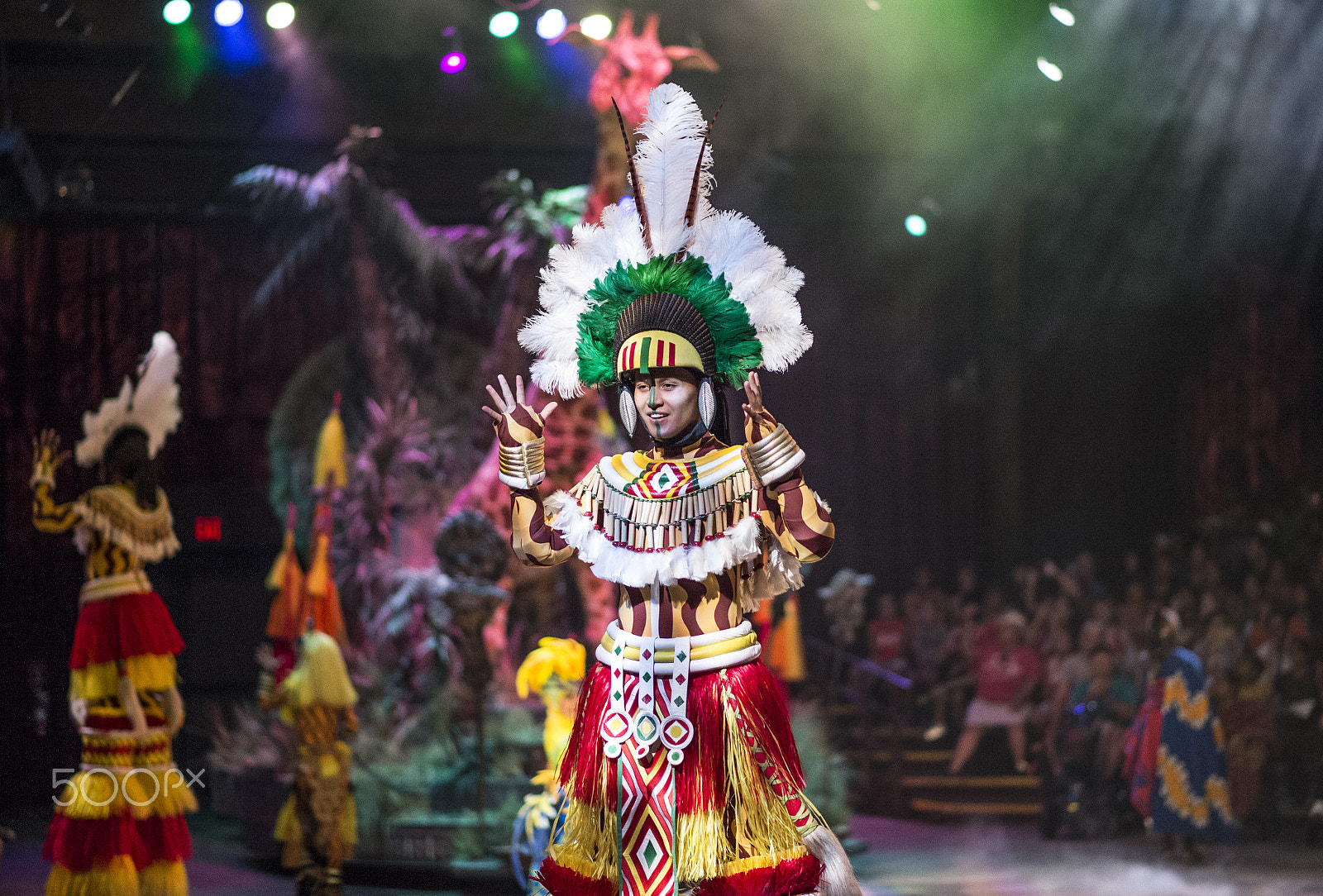 Nikon Df sample photo. Festival of the lion king photography